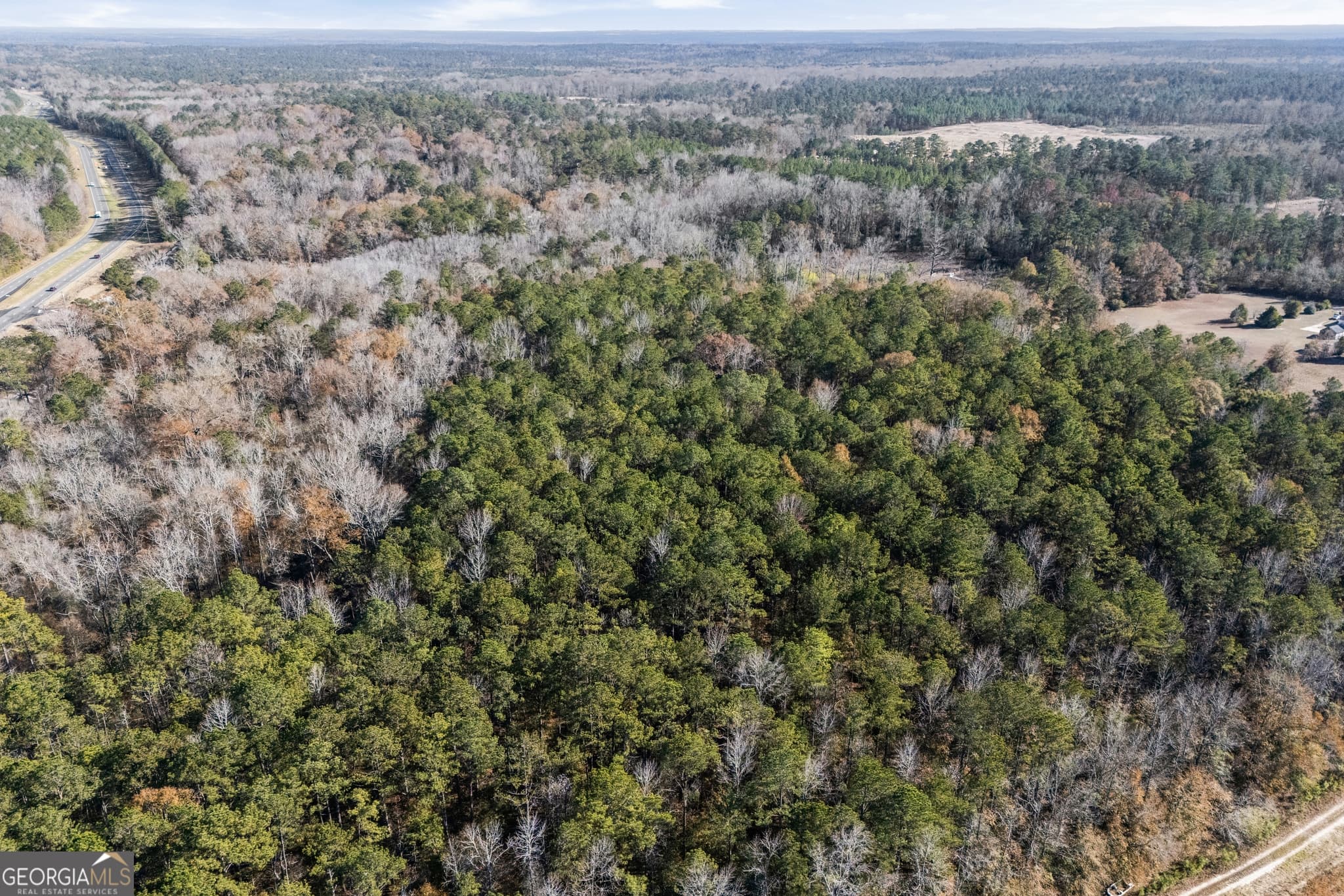 unimproved land for sale at 4057 Pope Road, Midland, GA 31820 — photo 10