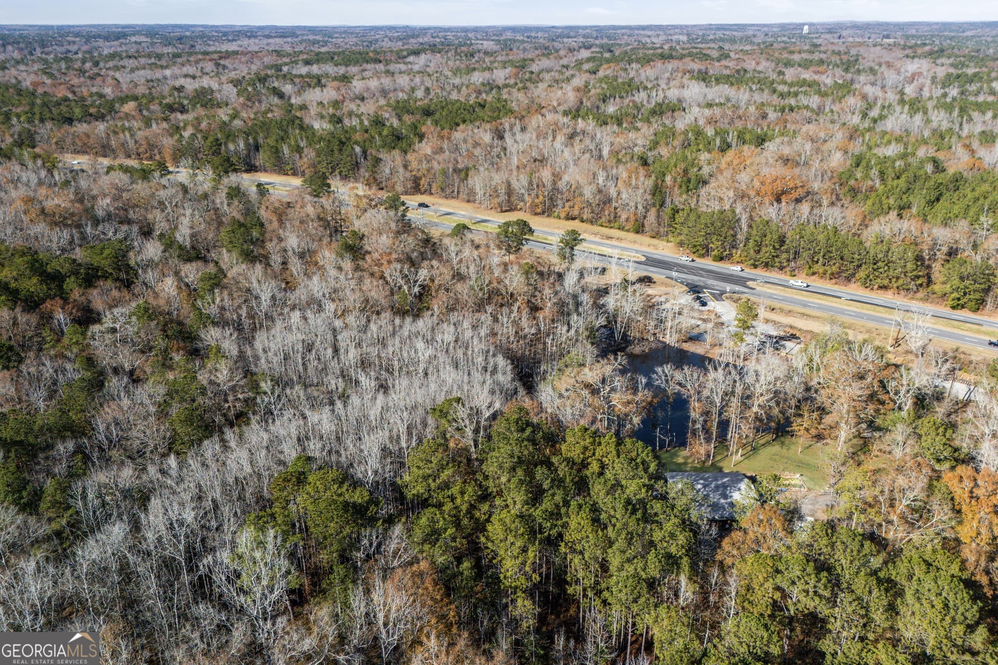 unimproved land for sale at 4057 Pope Road, Midland, GA 31820 — photo 4