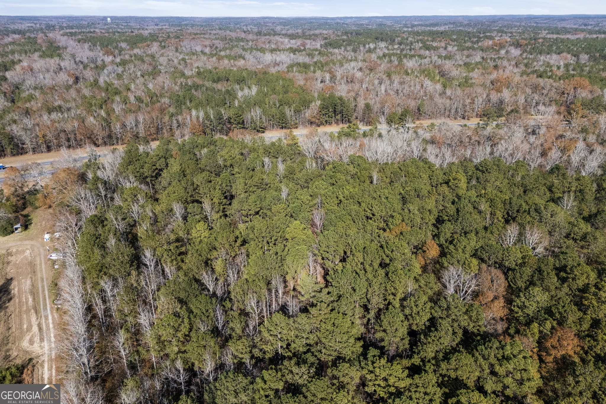 unimproved land for sale at 4057 Pope Road, Midland, GA 31820 — photo 8