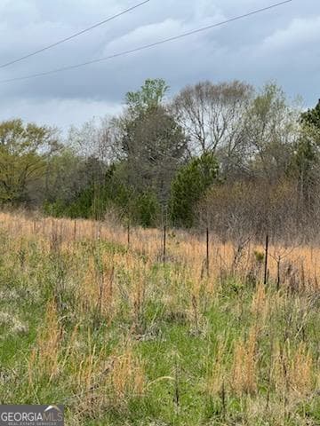 residential lot for sale at 0 Holly Street, Hartwell, GA 30643 — photo 3