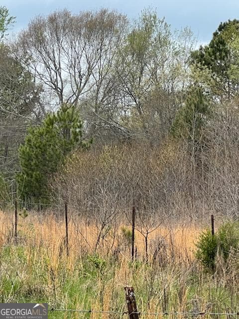 residential lot for sale at 0 Holly Street, Hartwell, GA 30643 — photo 4