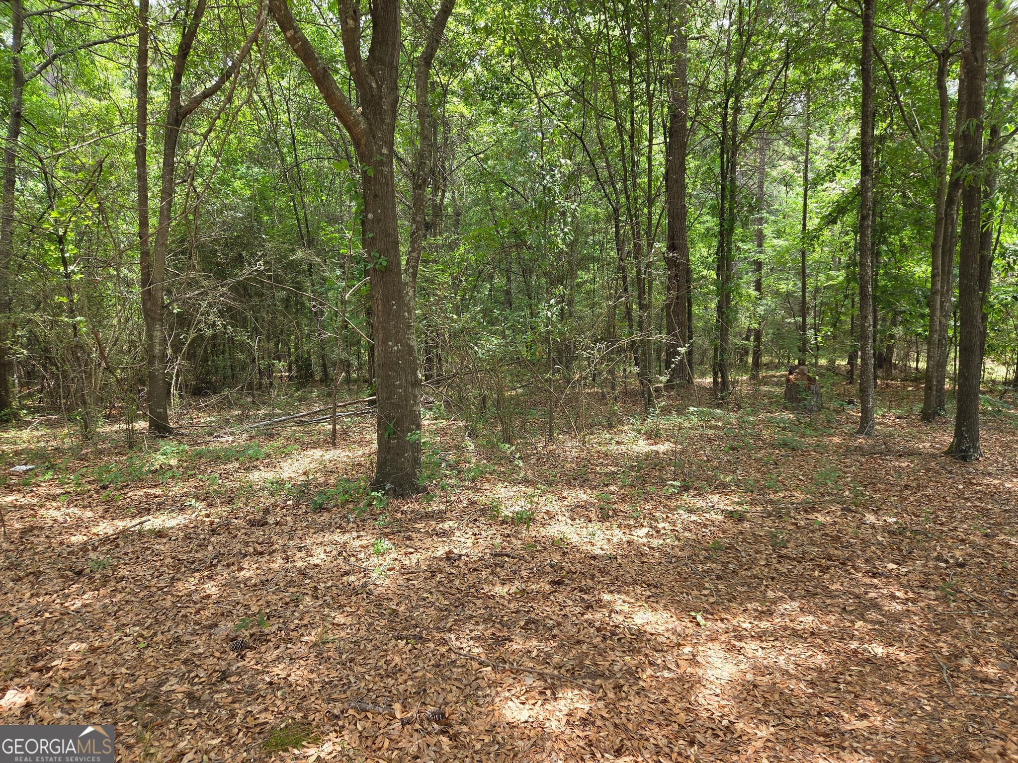 residential lot for sale at 6045 Cara Drive, Macon, GA 31216 — photo 2