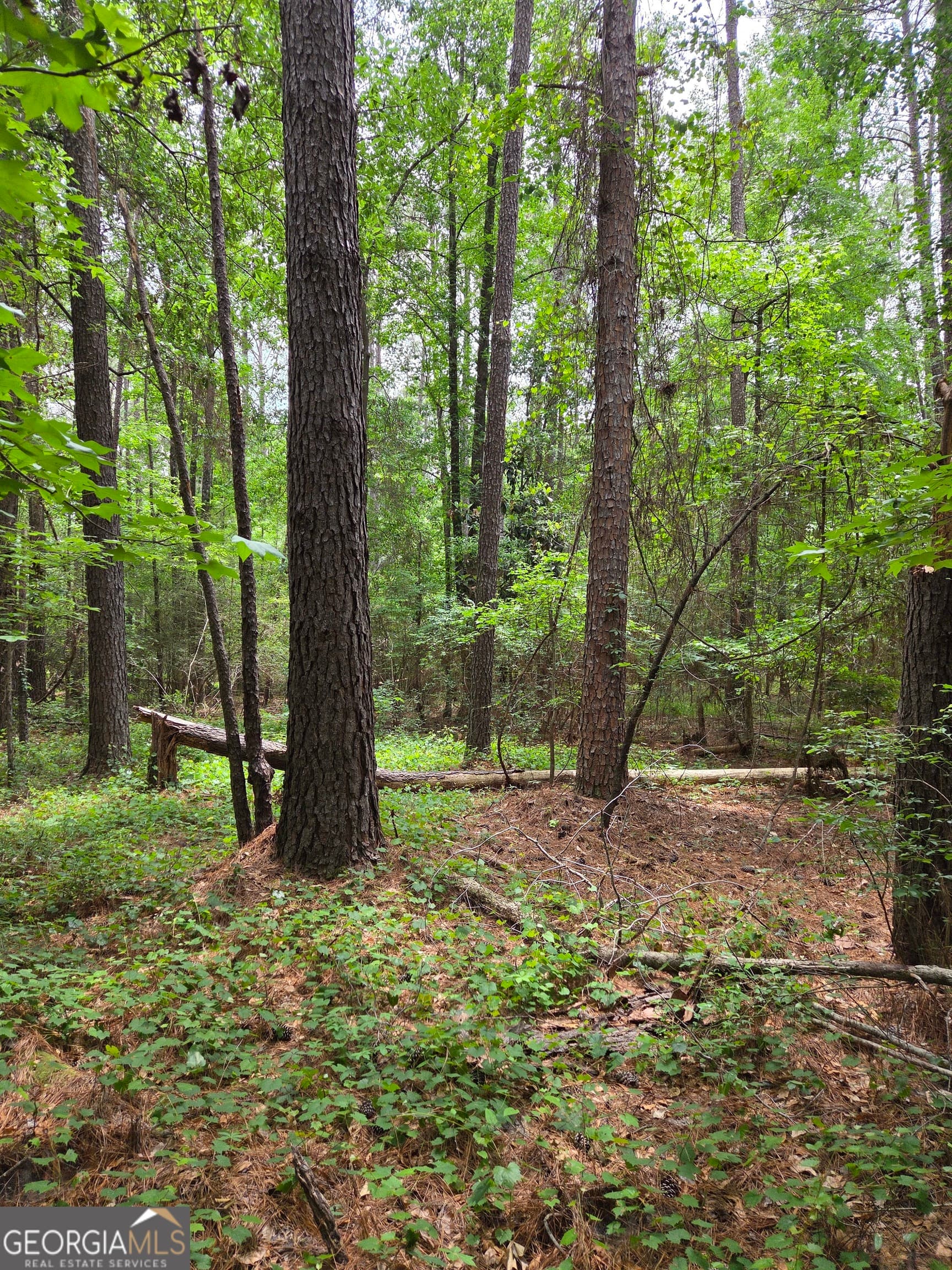 residential lot for sale at 6045 Cara Drive, Macon, GA 31216 — photo 6