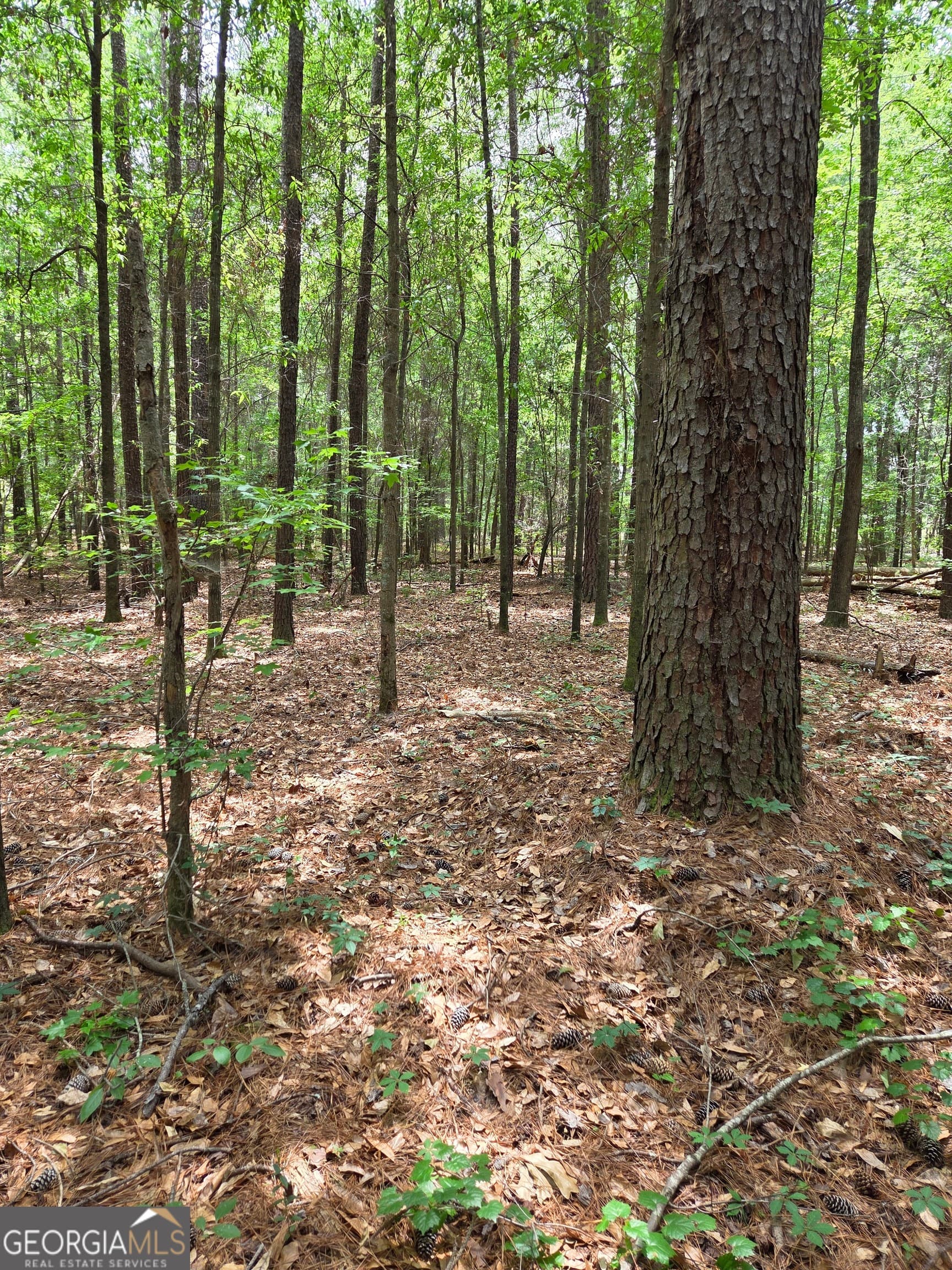 residential lot for sale at 6045 Cara Drive, Macon, GA 31216 — photo 7