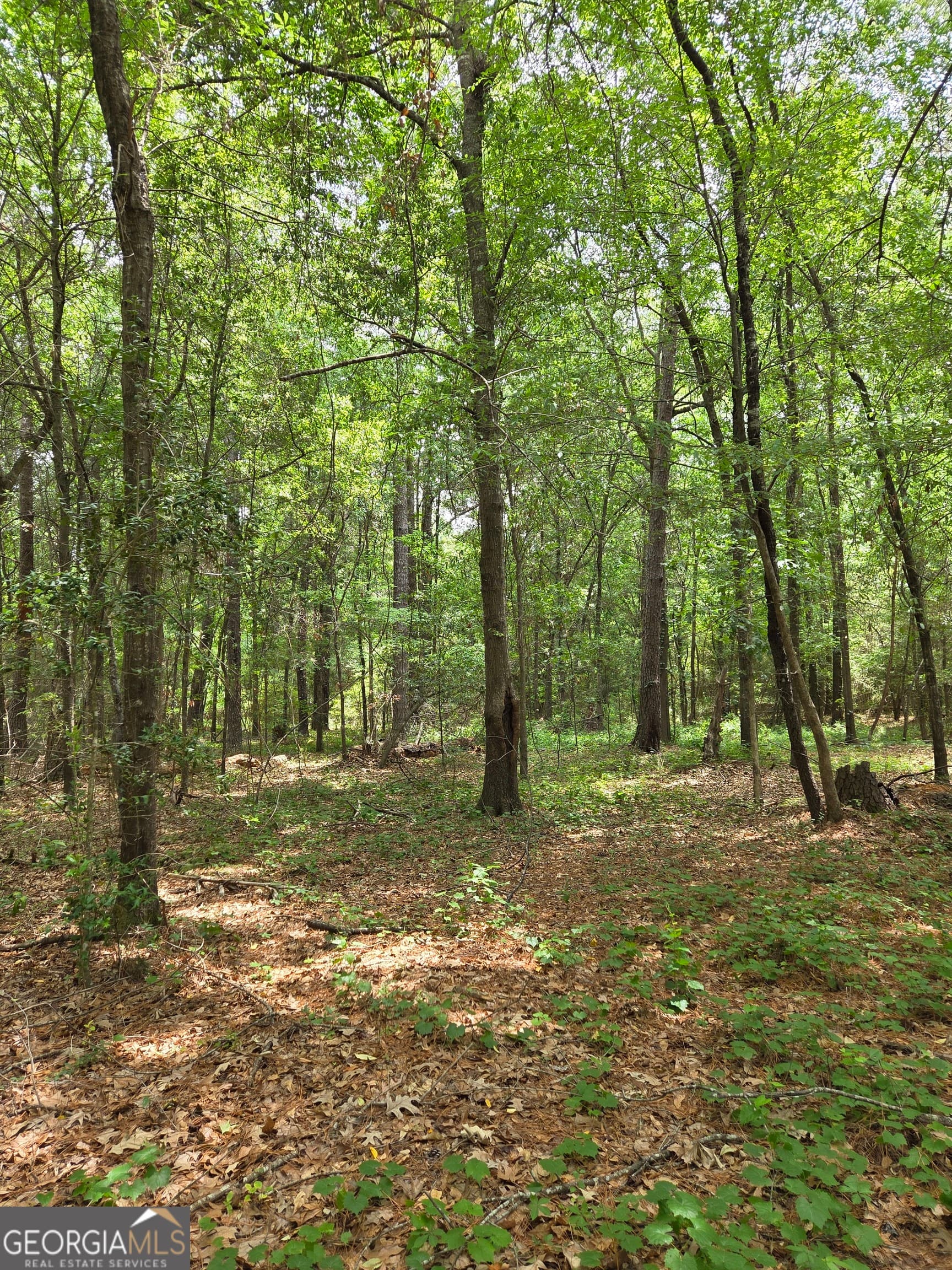residential lot for sale at 6045 Cara Drive, Macon, GA 31216 — photo 3