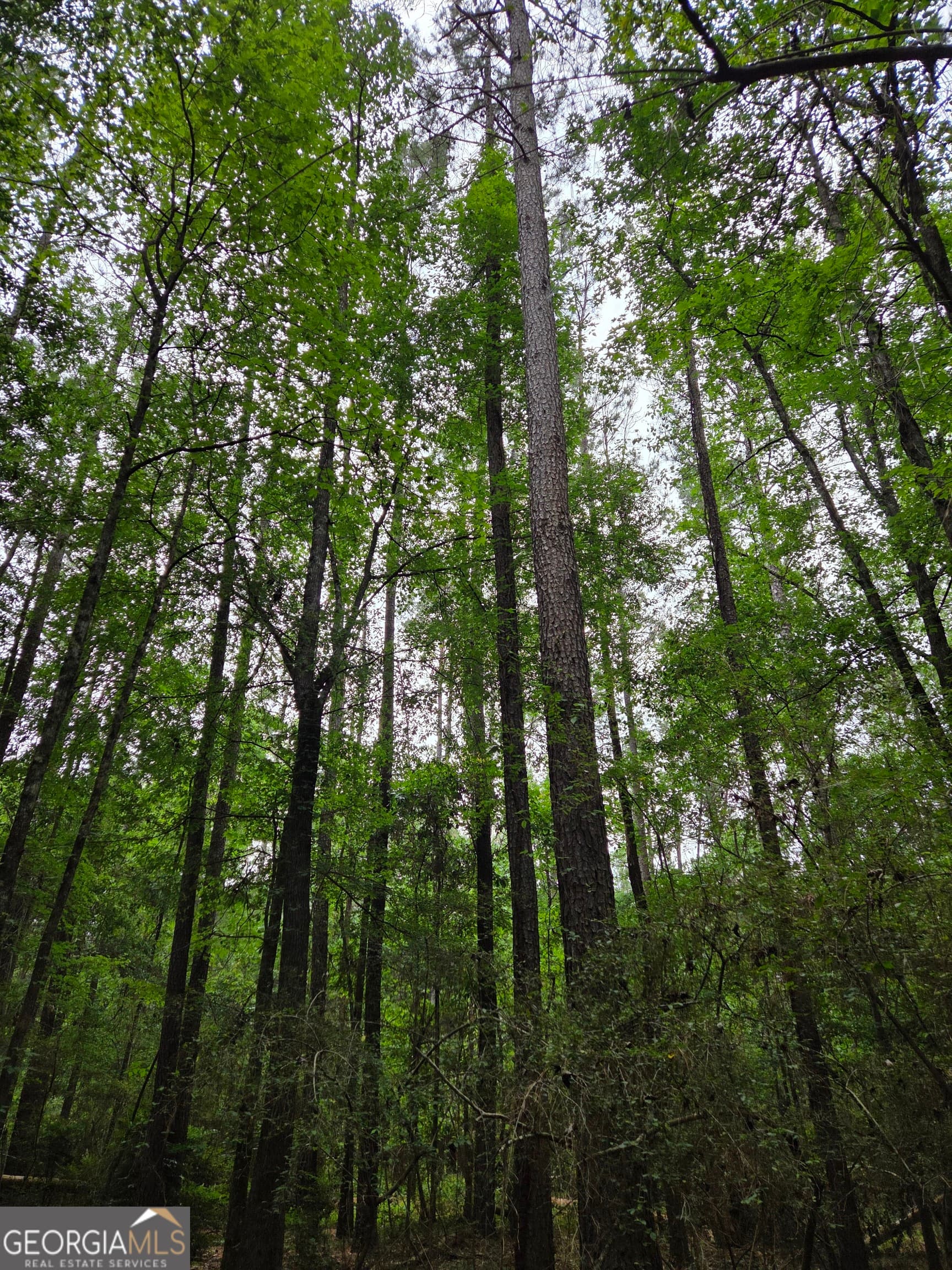 residential lot for sale at 6045 Cara Drive, Macon, GA 31216 — photo 5