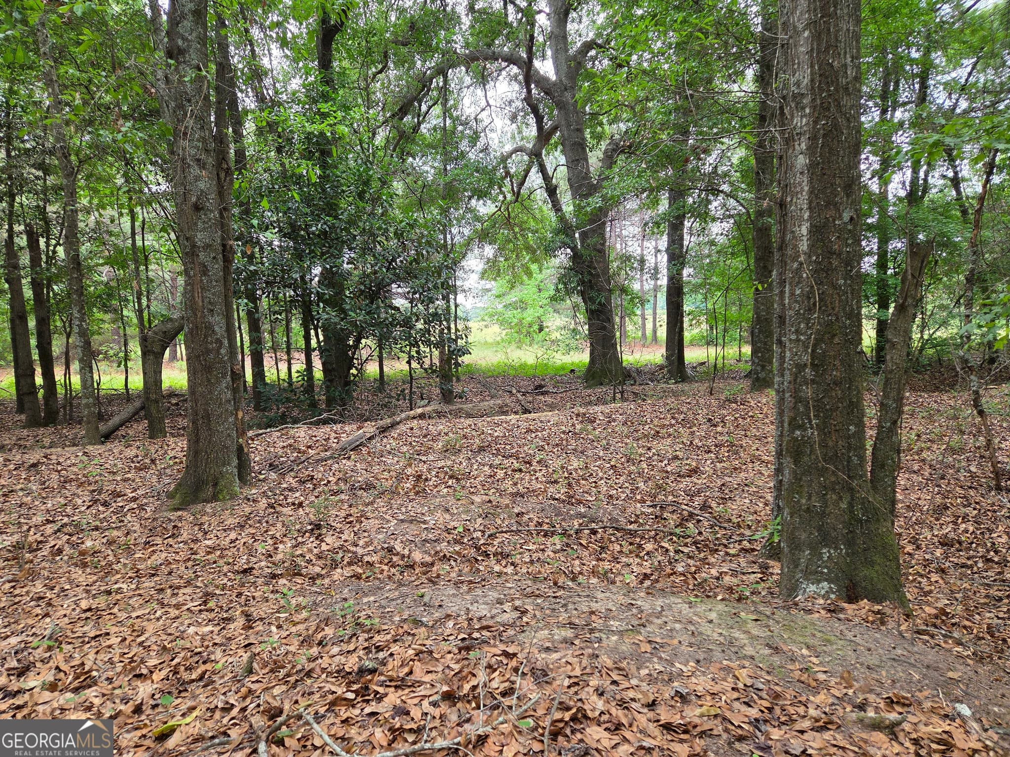residential lot for sale at 6045 Cara Drive, Macon, GA 31216 — photo 9