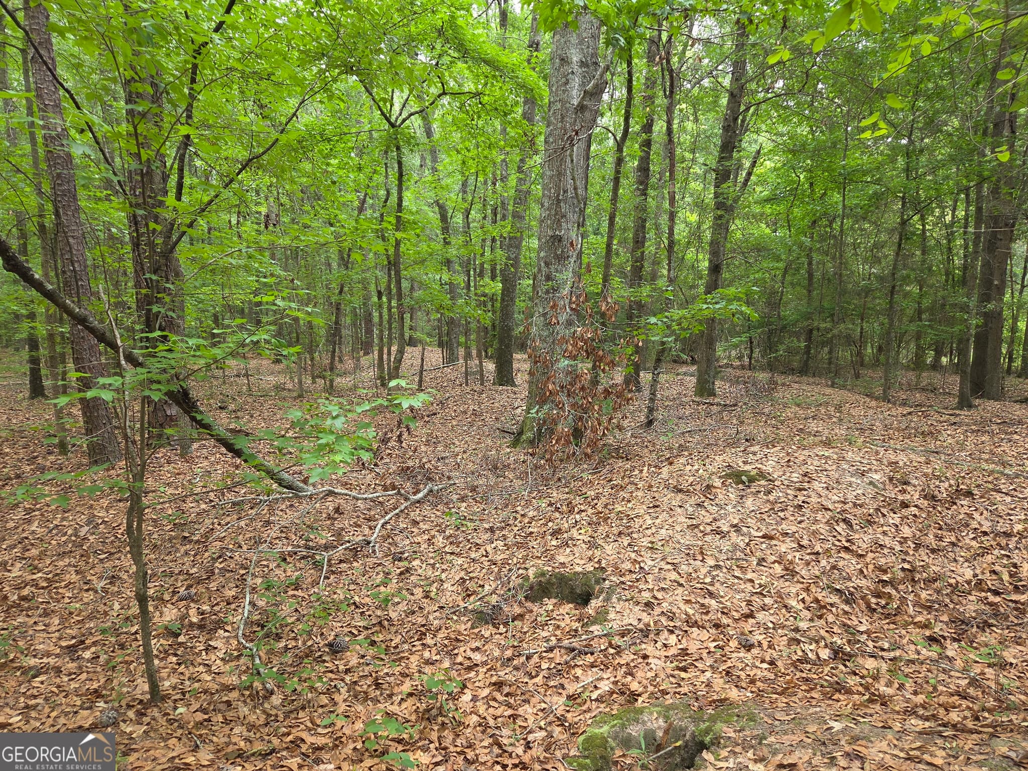 residential lot for sale at 6045 Cara Drive, Macon, GA 31216 — photo 10