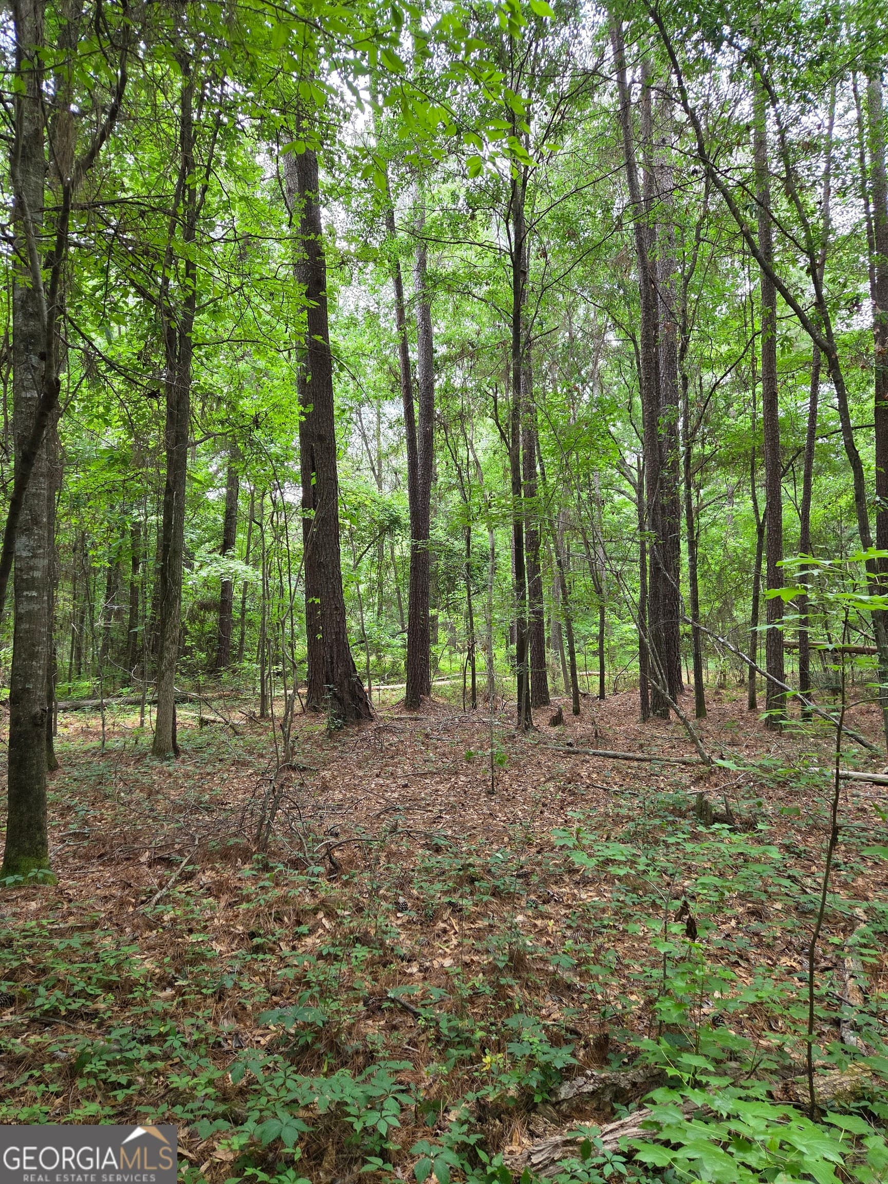 residential lot for sale at 6045 Cara Drive, Macon, GA 31216 — photo 4