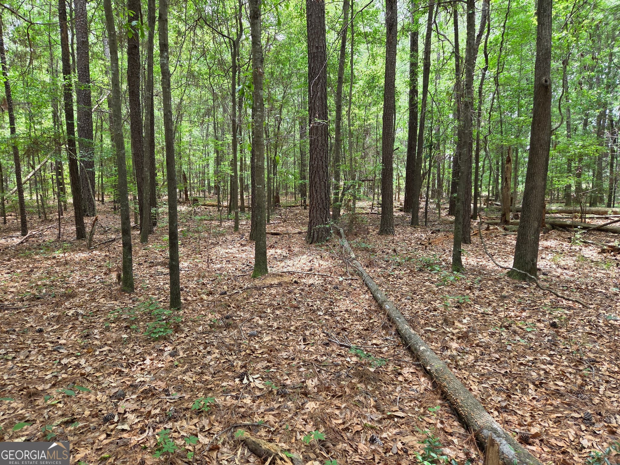 residential lot for sale at 6045 Cara Drive, Macon, GA 31216 — photo 8