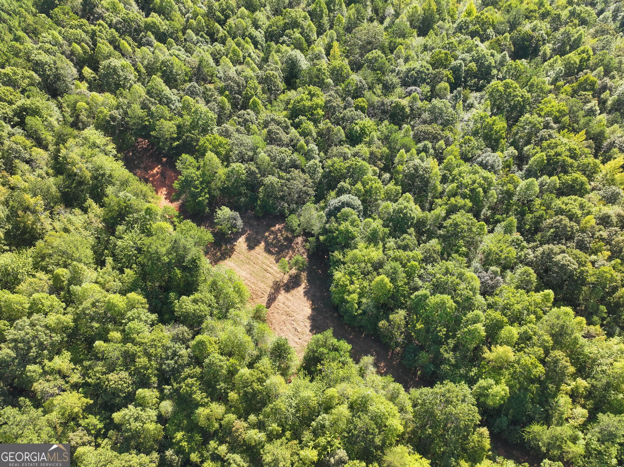 agriculture for sale at 140 +/- Acres on GA Hwy 100, Buchanan, GA 30113 — photo 6
