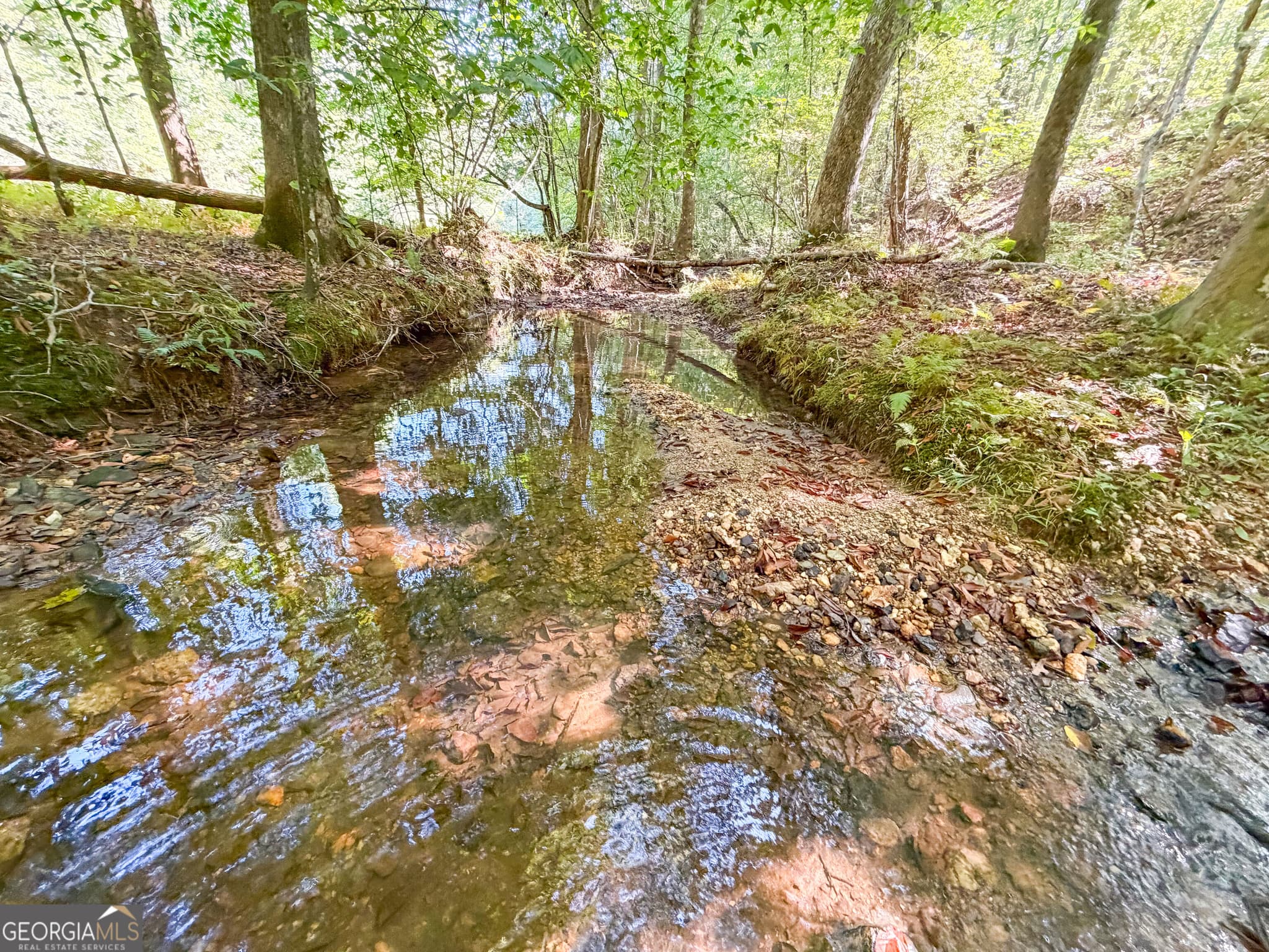 agriculture for sale at 140 +/- Acres on GA Hwy 100, Buchanan, GA 30113 — photo 7