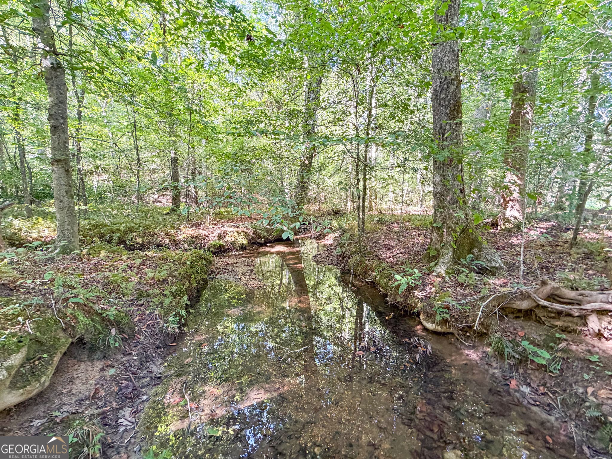 agriculture for sale at 140 +/- Acres on GA Hwy 100, Buchanan, GA 30113 — photo 3