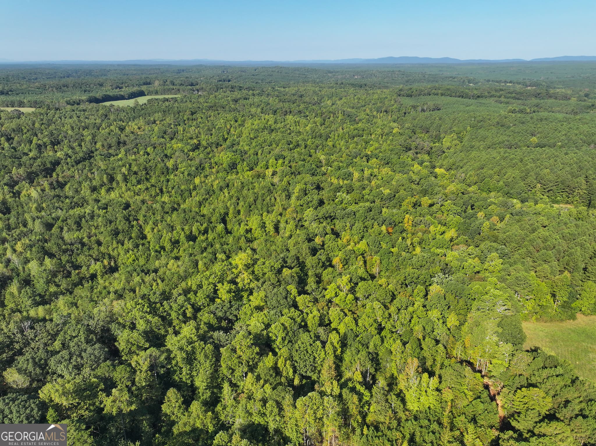 agriculture for sale at 140 +/- Acres on GA Hwy 100, Buchanan, GA 30113