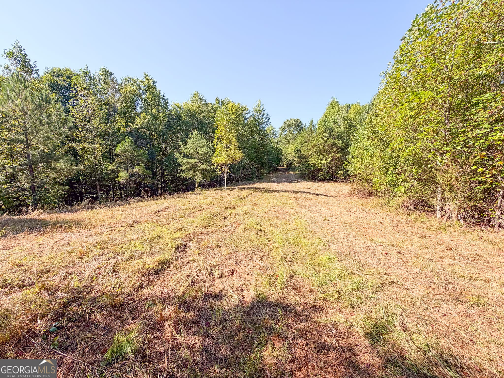 agriculture for sale at 140 +/- Acres on GA Hwy 100, Buchanan, GA 30113 — photo 5