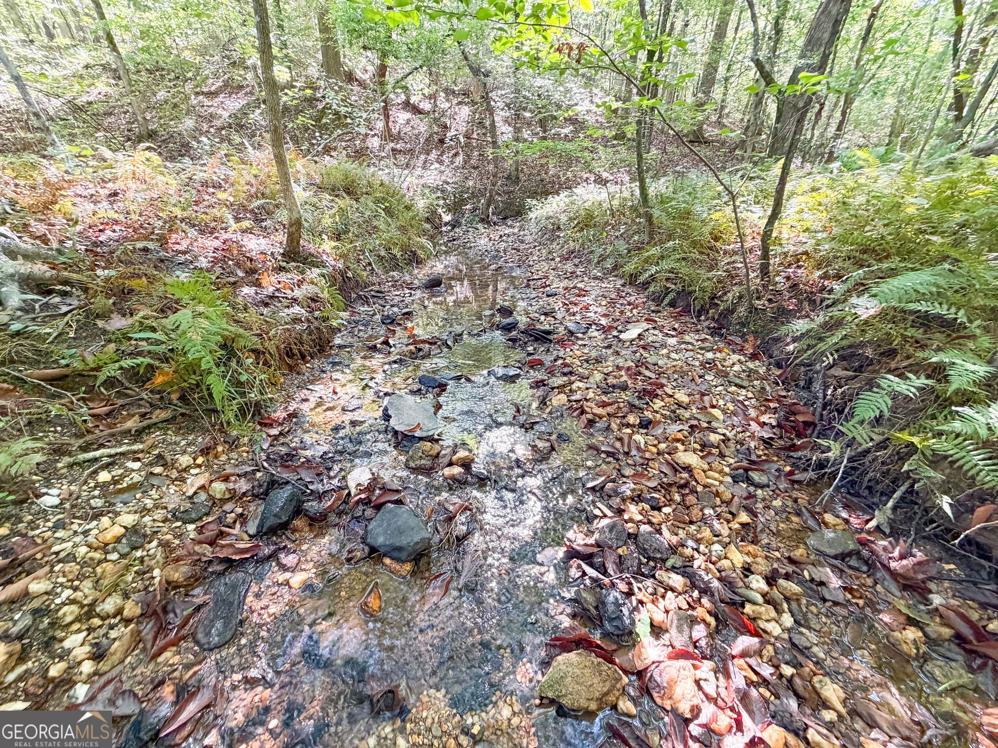agriculture for sale at 140 +/- Acres on GA Hwy 100, Buchanan, GA 30113 — photo 10