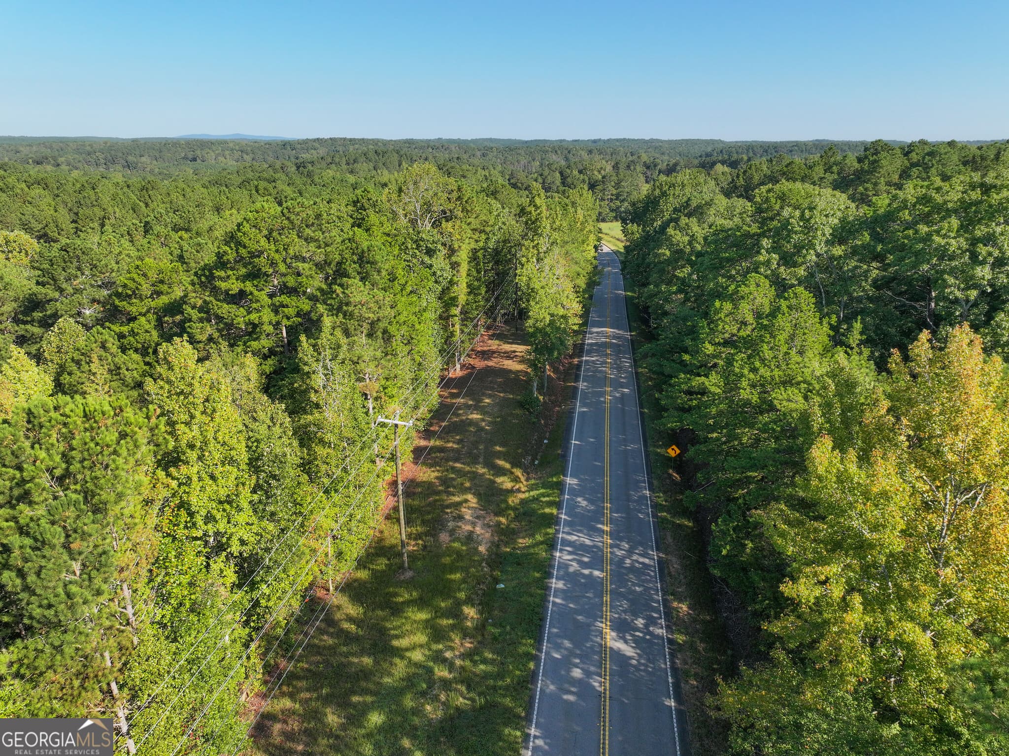 agriculture for sale at 140 +/- Acres on GA Hwy 100, Buchanan, GA 30113 — photo 4