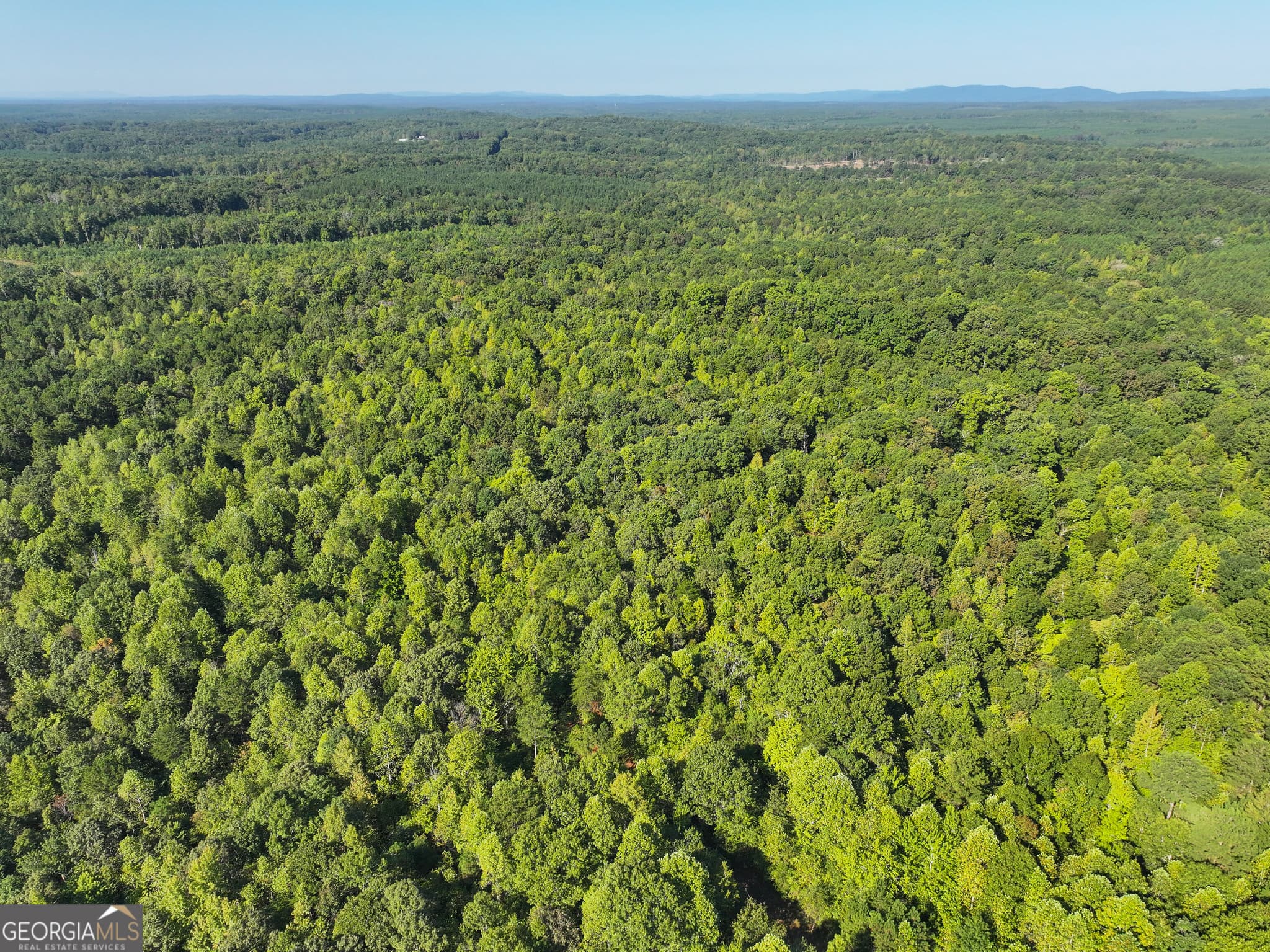 agriculture for sale at 140 +/- Acres on GA Hwy 100, Buchanan, GA 30113 — photo 8