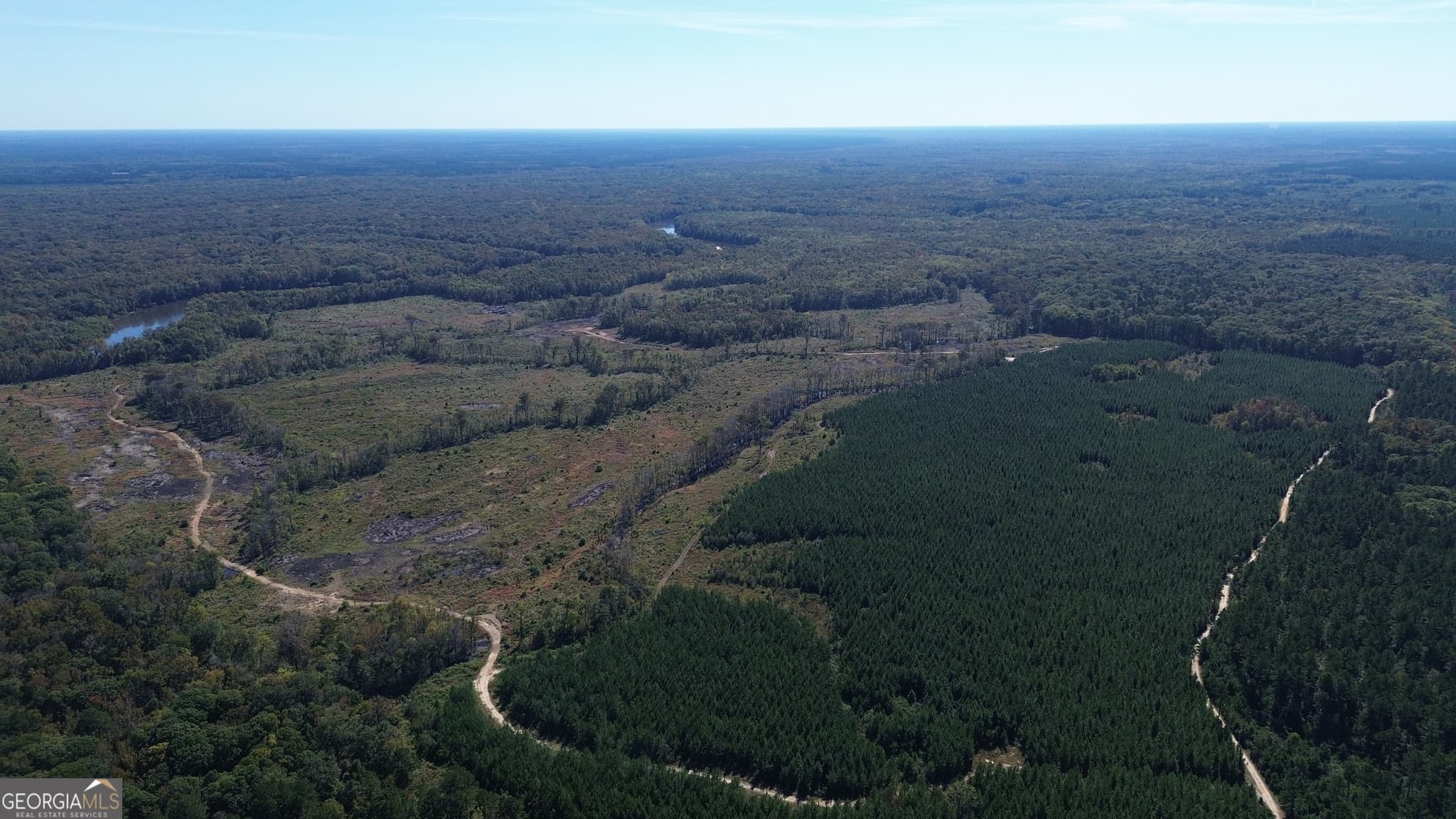 agriculture for sale at 0 Newington Hwy, Sylvania, GA 30467 — photo 7