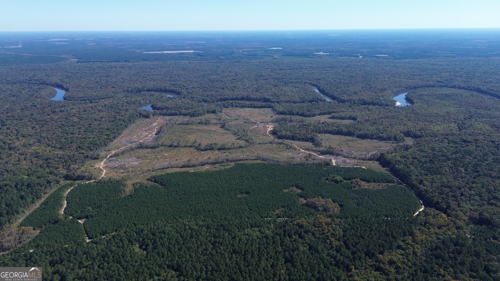 agriculture for sale at 0 Newington Hwy, Sylvania, GA 30467 — photo 9