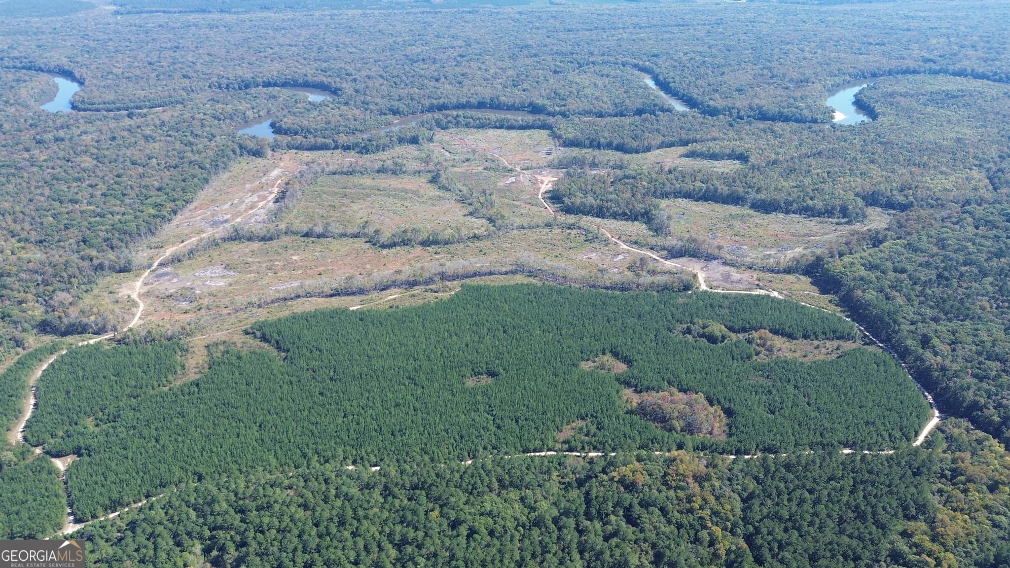 agriculture for sale at 0 Newington Hwy, Sylvania, GA 30467 — photo 10