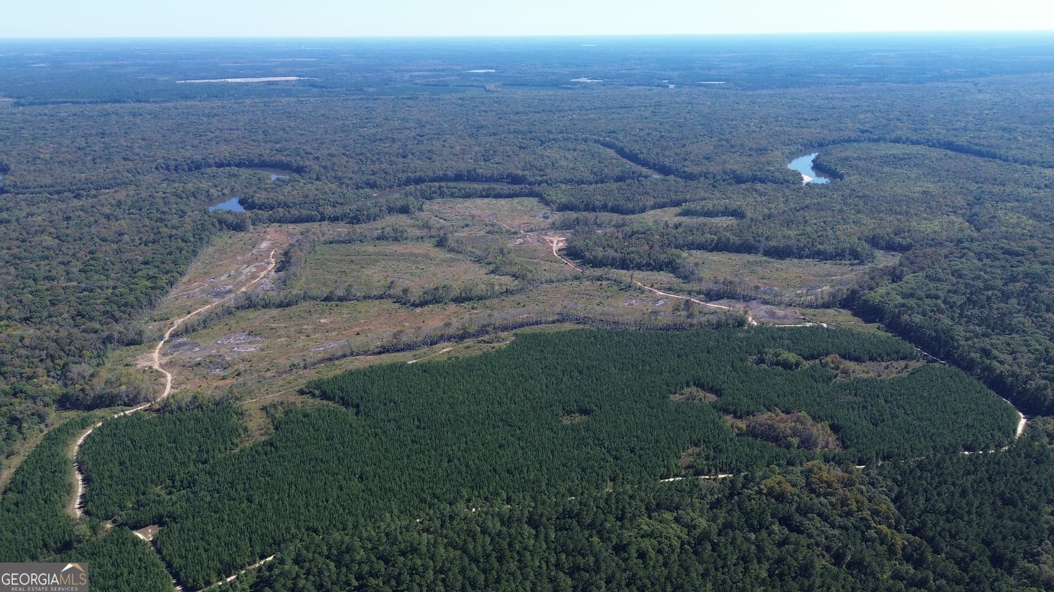 agriculture for sale at 0 Newington Hwy, Sylvania, GA 30467 — photo 8