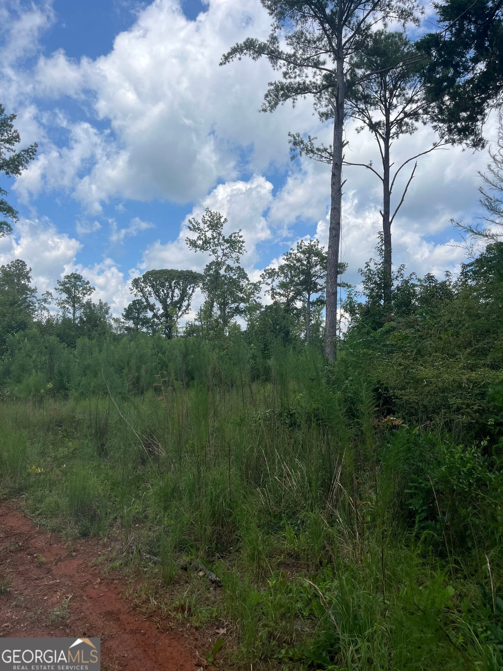 agriculture under contract at 0 Anderson Road, Woodland, GA 31836 — photo 6