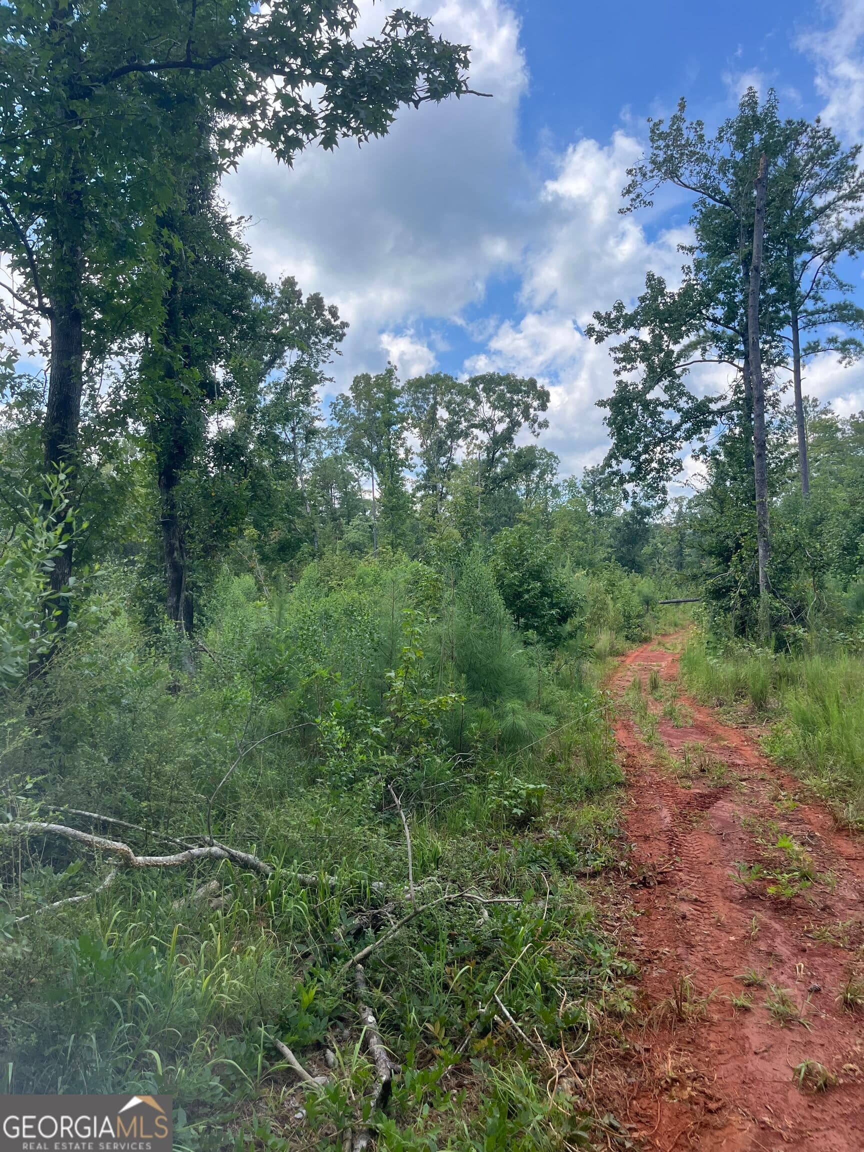 agriculture under contract at 0 Anderson Road, Woodland, GA 31836 — photo 7