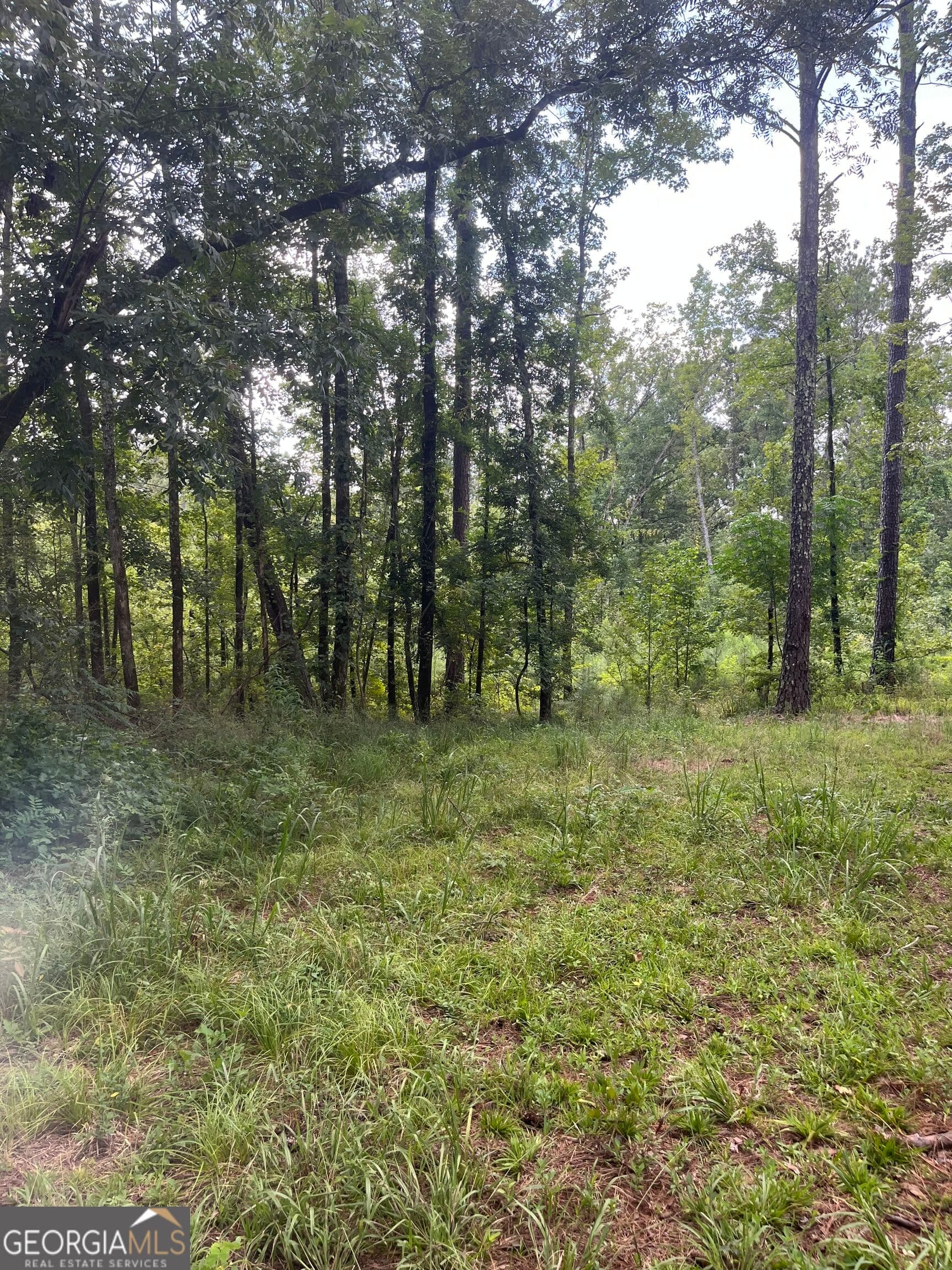 agriculture under contract at 0 Anderson Road, Woodland, GA 31836 — photo 3