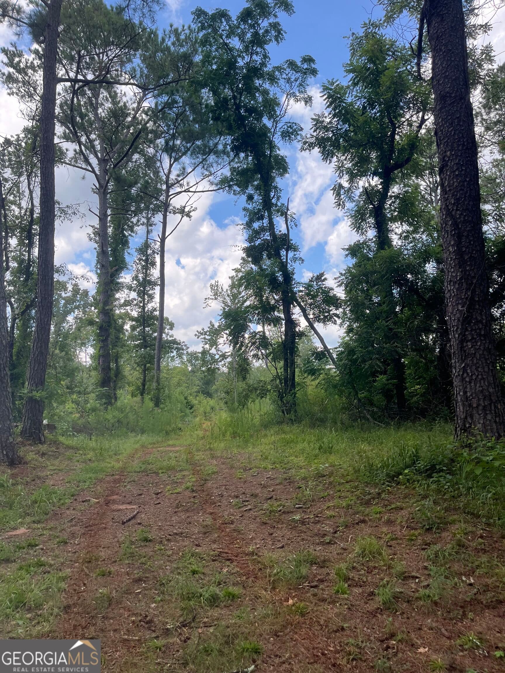 agriculture under contract at 0 Anderson Road, Woodland, GA 31836