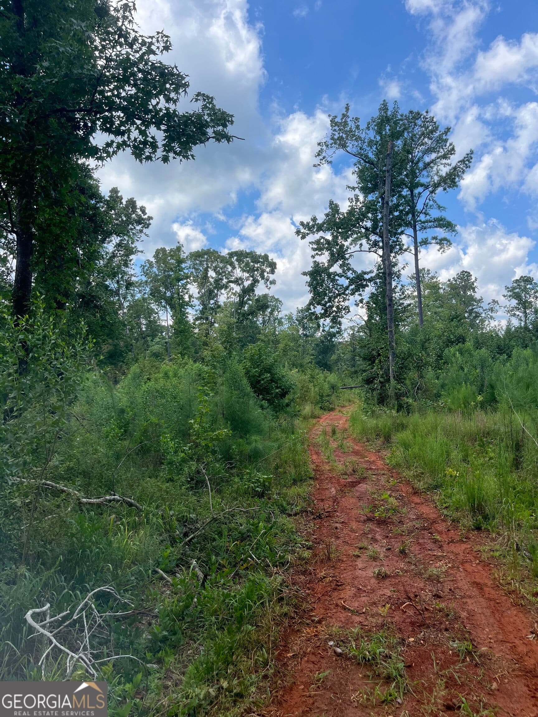 agriculture under contract at 0 Anderson Road, Woodland, GA 31836 — photo 5
