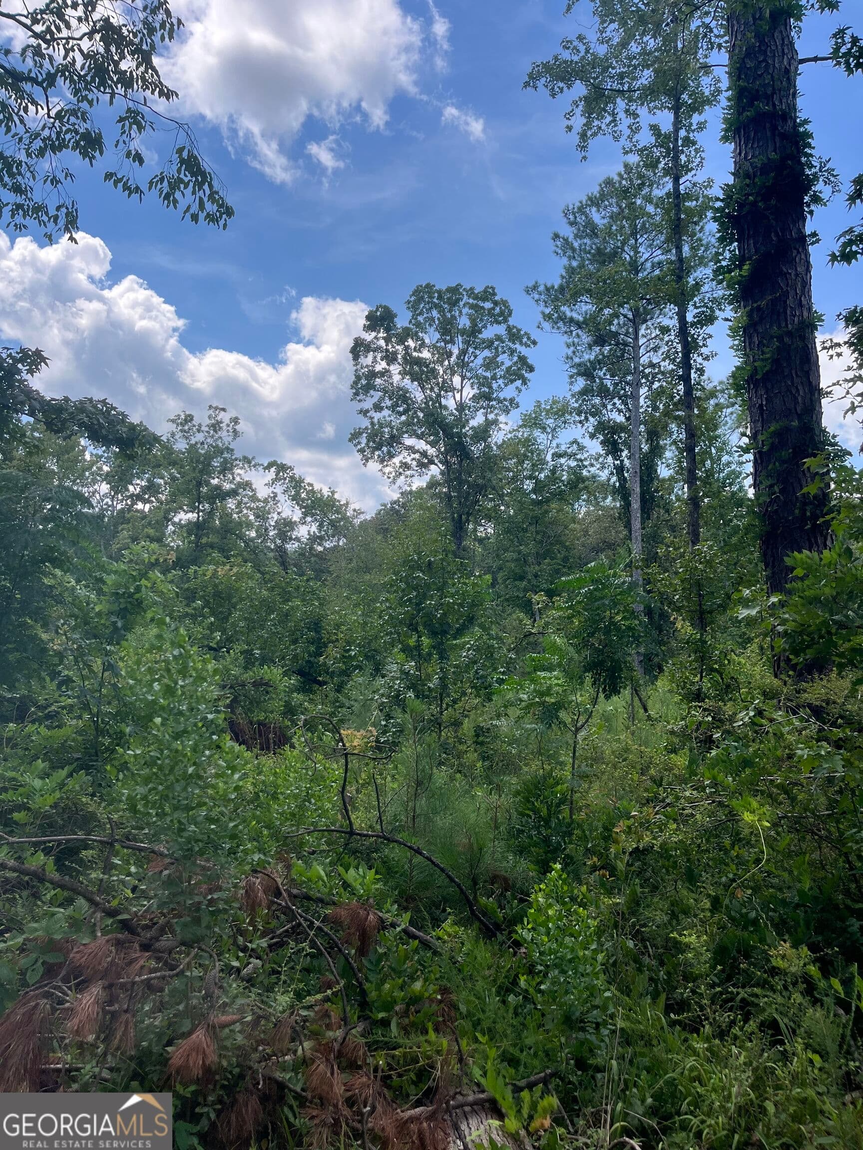 agriculture under contract at 0 Anderson Road, Woodland, GA 31836 — photo 4