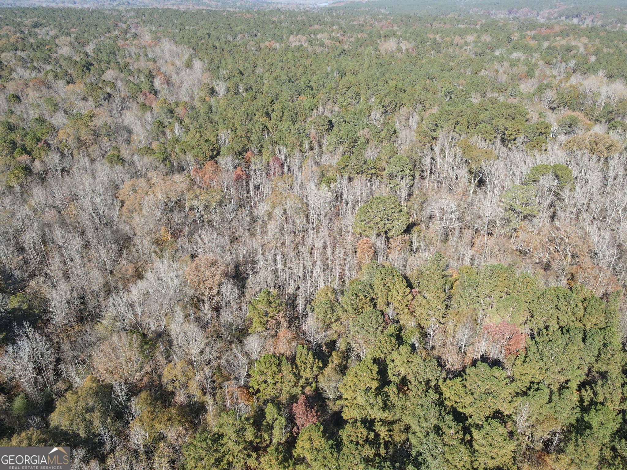 residential lot for sale at 0 Oconee Road LOT 7, Buckhead, GA 30625 — photo 6