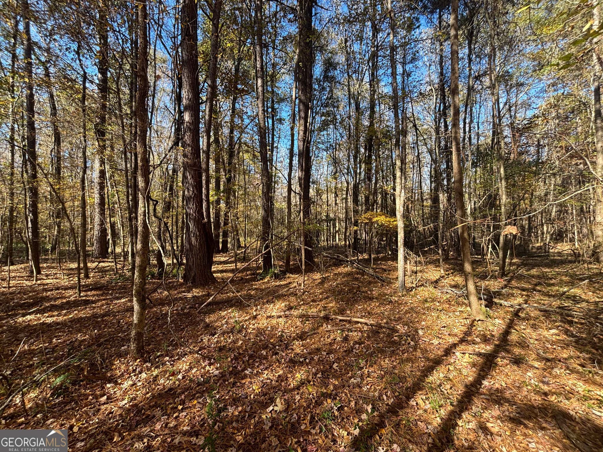 residential lot for sale at 0 Oconee Road LOT 7, Buckhead, GA 30625 — photo 7