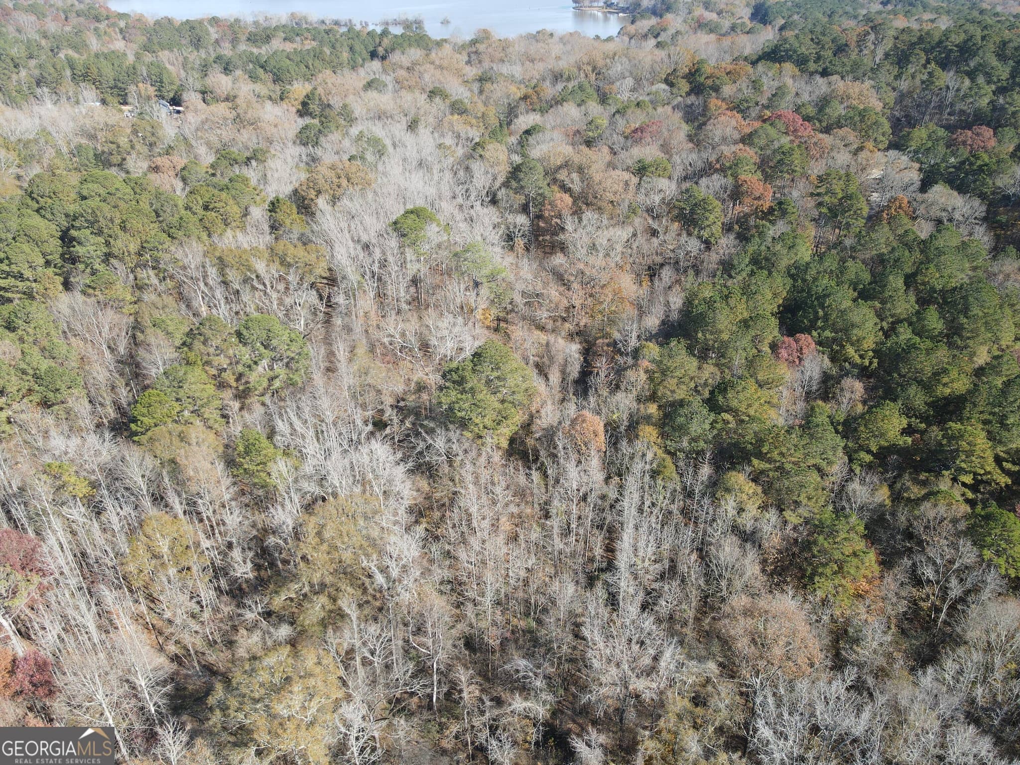 residential lot for sale at 0 Oconee Road LOT 7, Buckhead, GA 30625 — photo 3