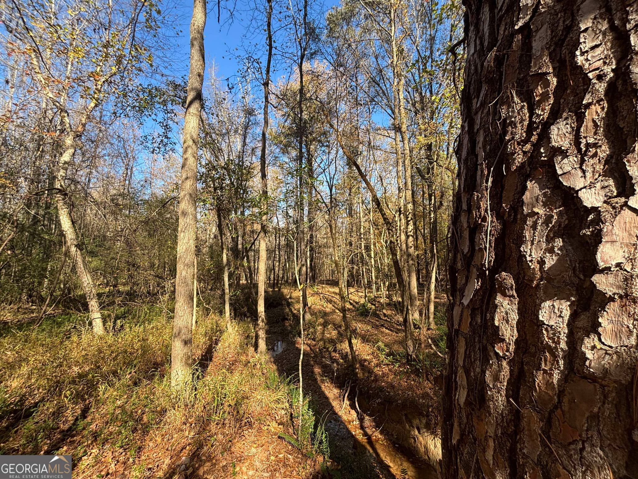residential lot for sale at 0 Oconee Road LOT 7, Buckhead, GA 30625 — photo 10