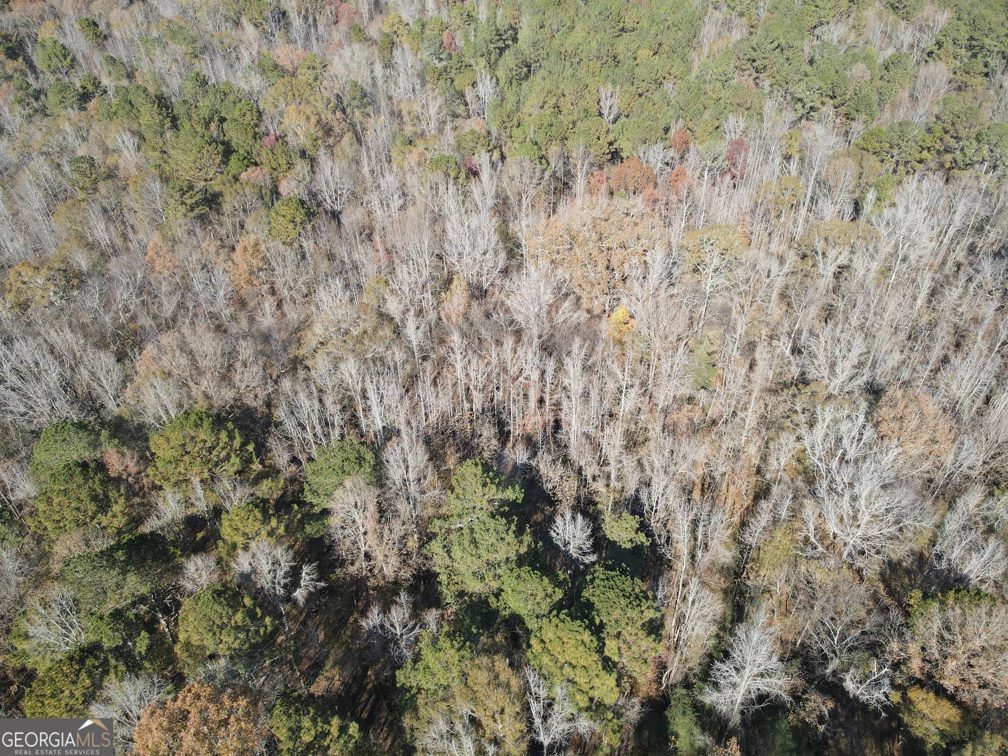 residential lot for sale at 0 Oconee Road LOT 7, Buckhead, GA 30625 — photo 4