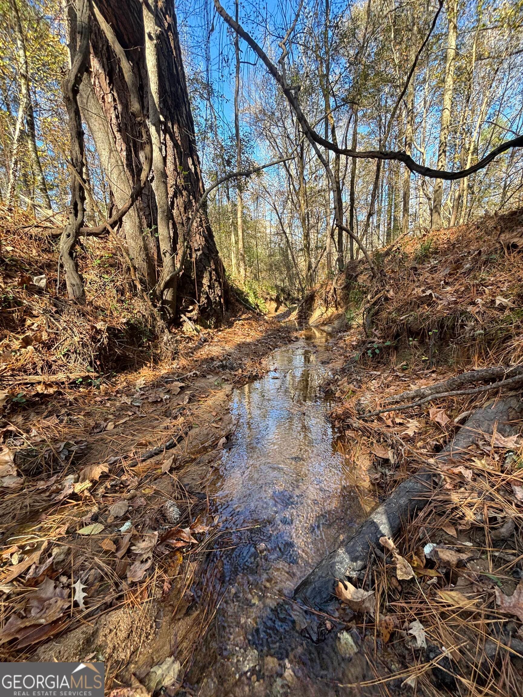 residential lot for sale at 0 Oconee Road LOT 7, Buckhead, GA 30625 — photo 8
