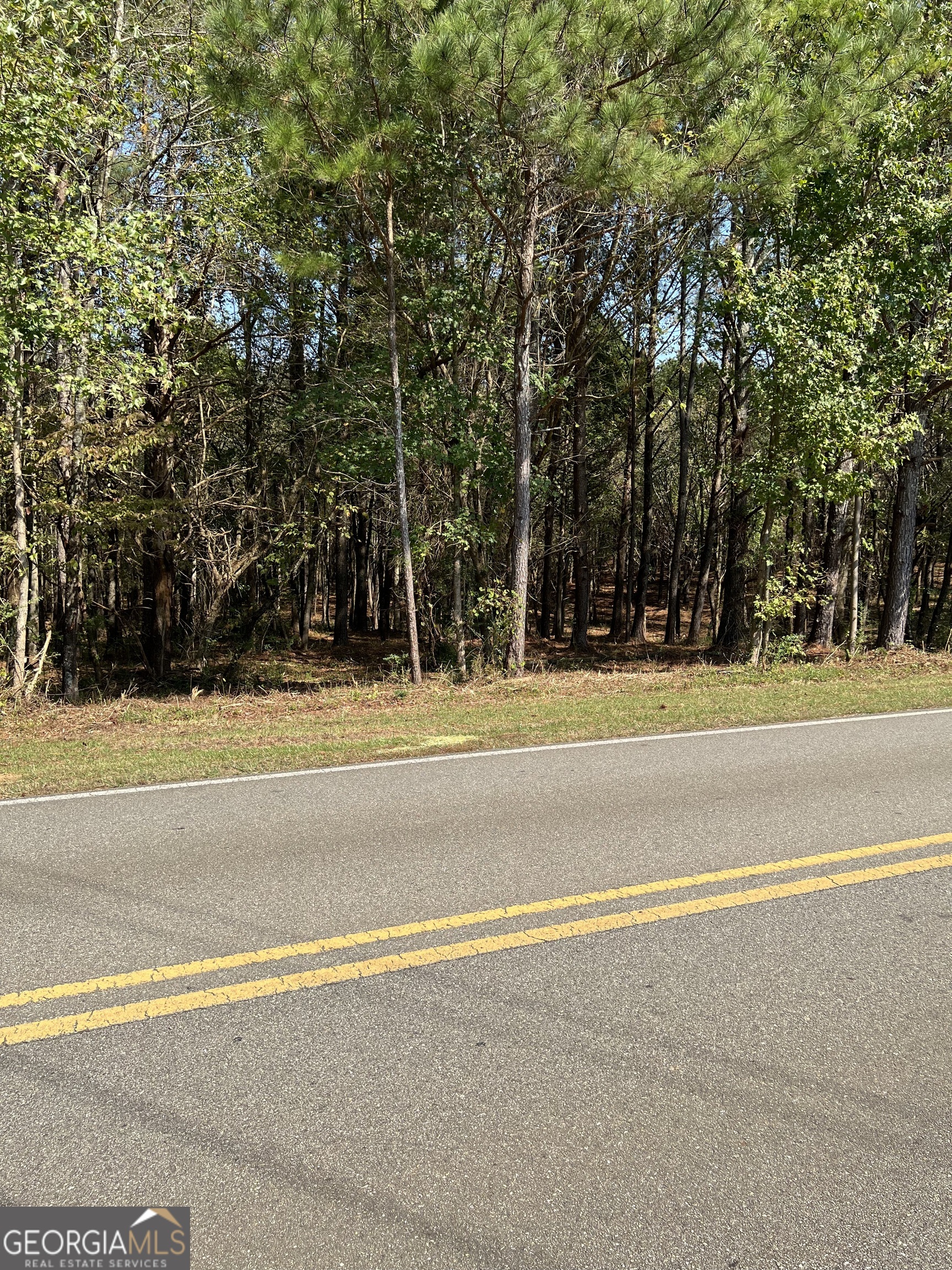 agriculture for sale at 850 Browning Road, Jasper, GA 30143 — photo 2