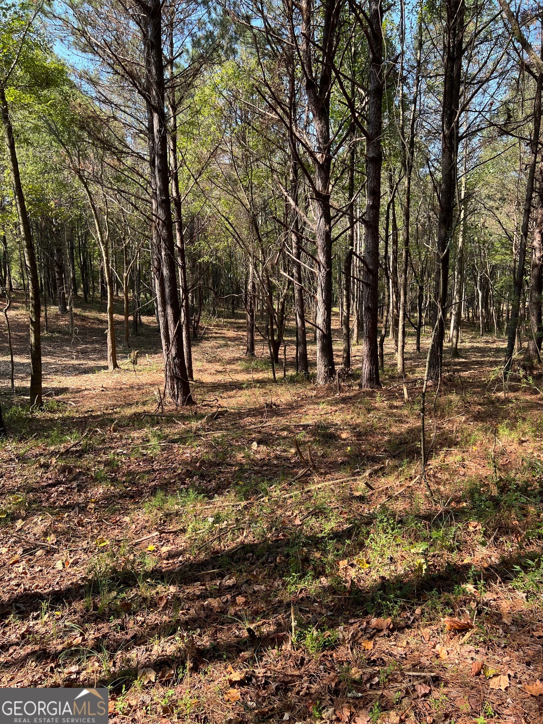 agriculture for sale at 850 Browning Road, Jasper, GA 30143 — photo 6