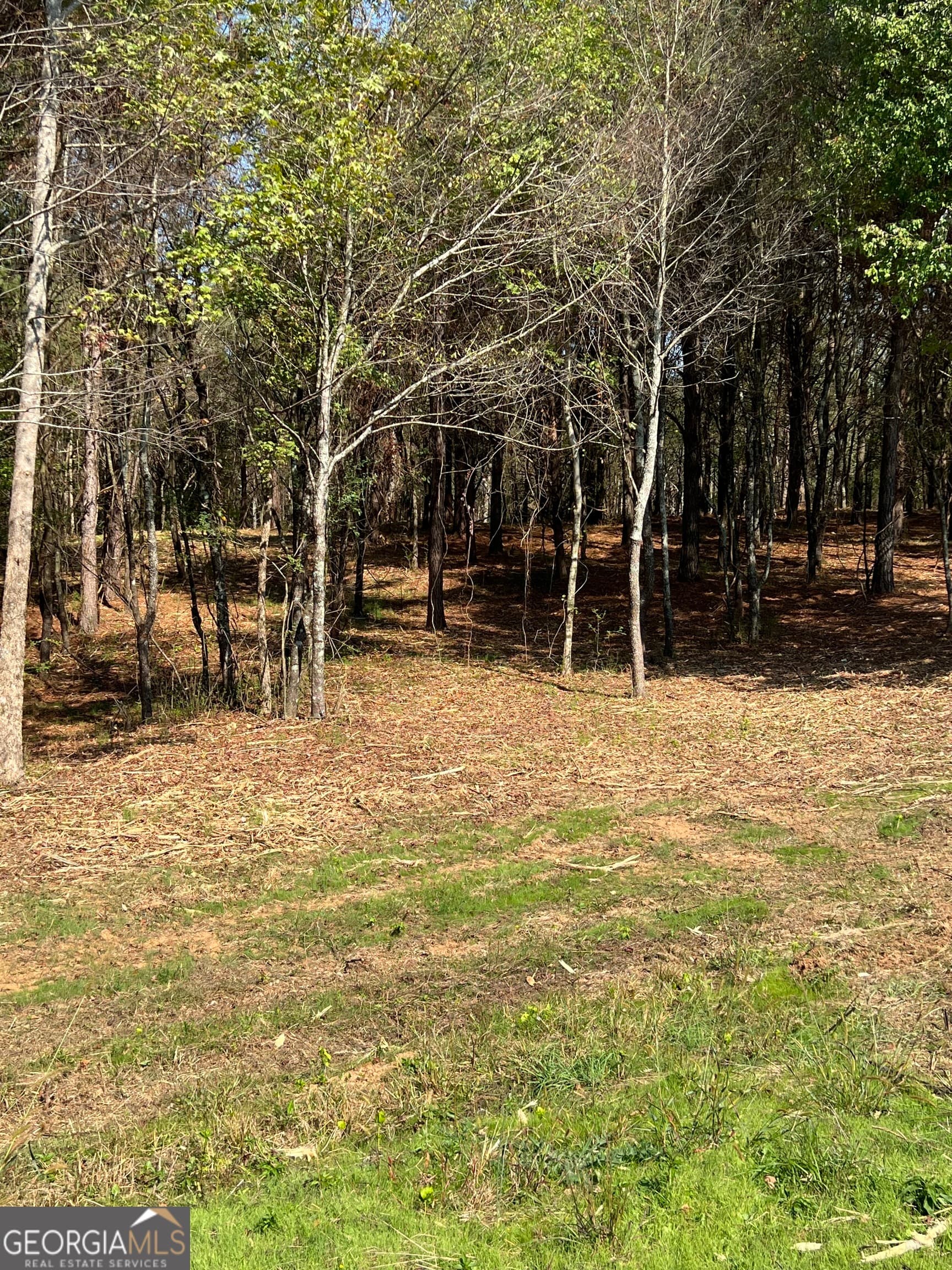 agriculture for sale at 850 Browning Road, Jasper, GA 30143 — photo 7
