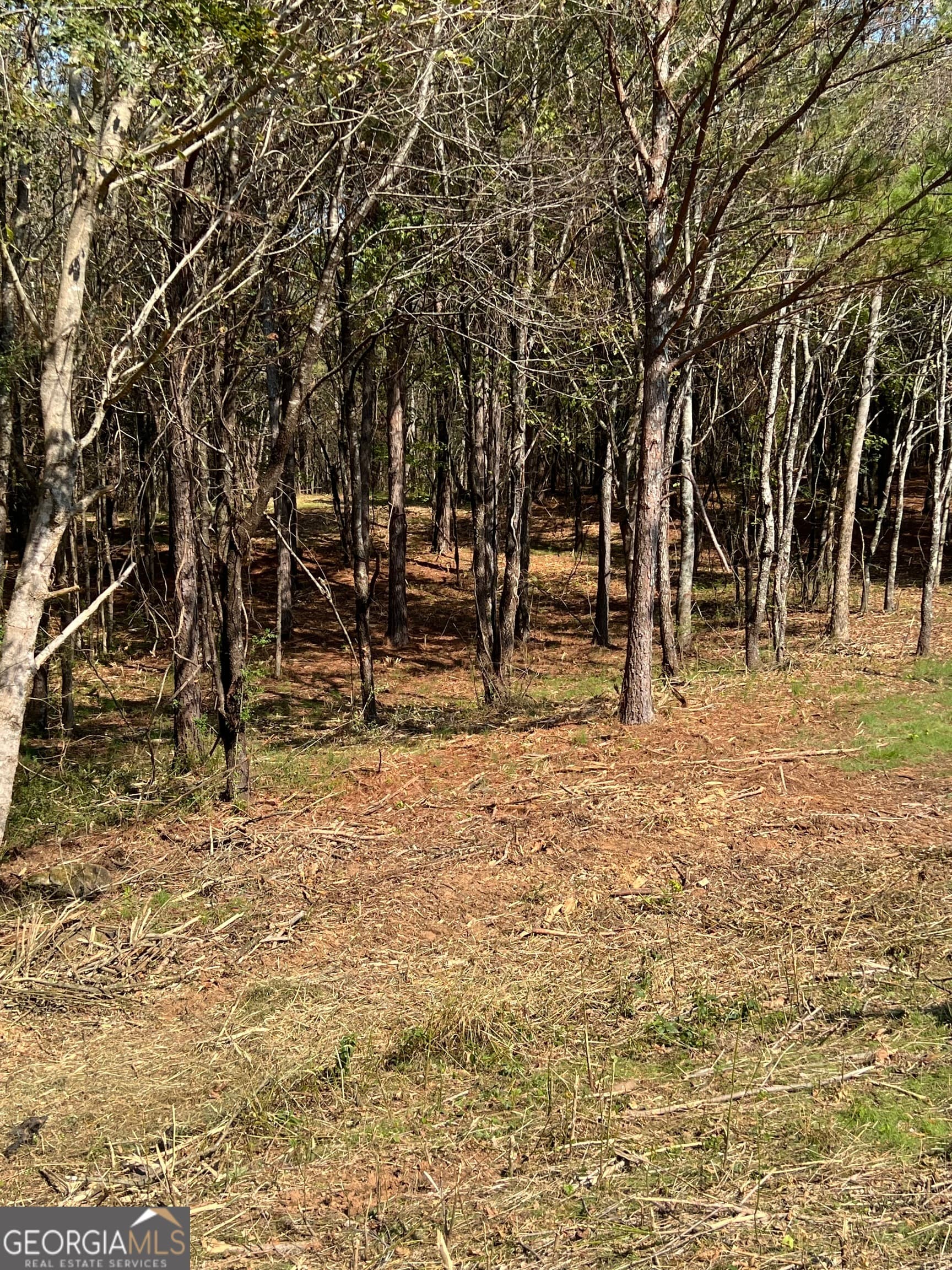 agriculture for sale at 850 Browning Road, Jasper, GA 30143 — photo 5