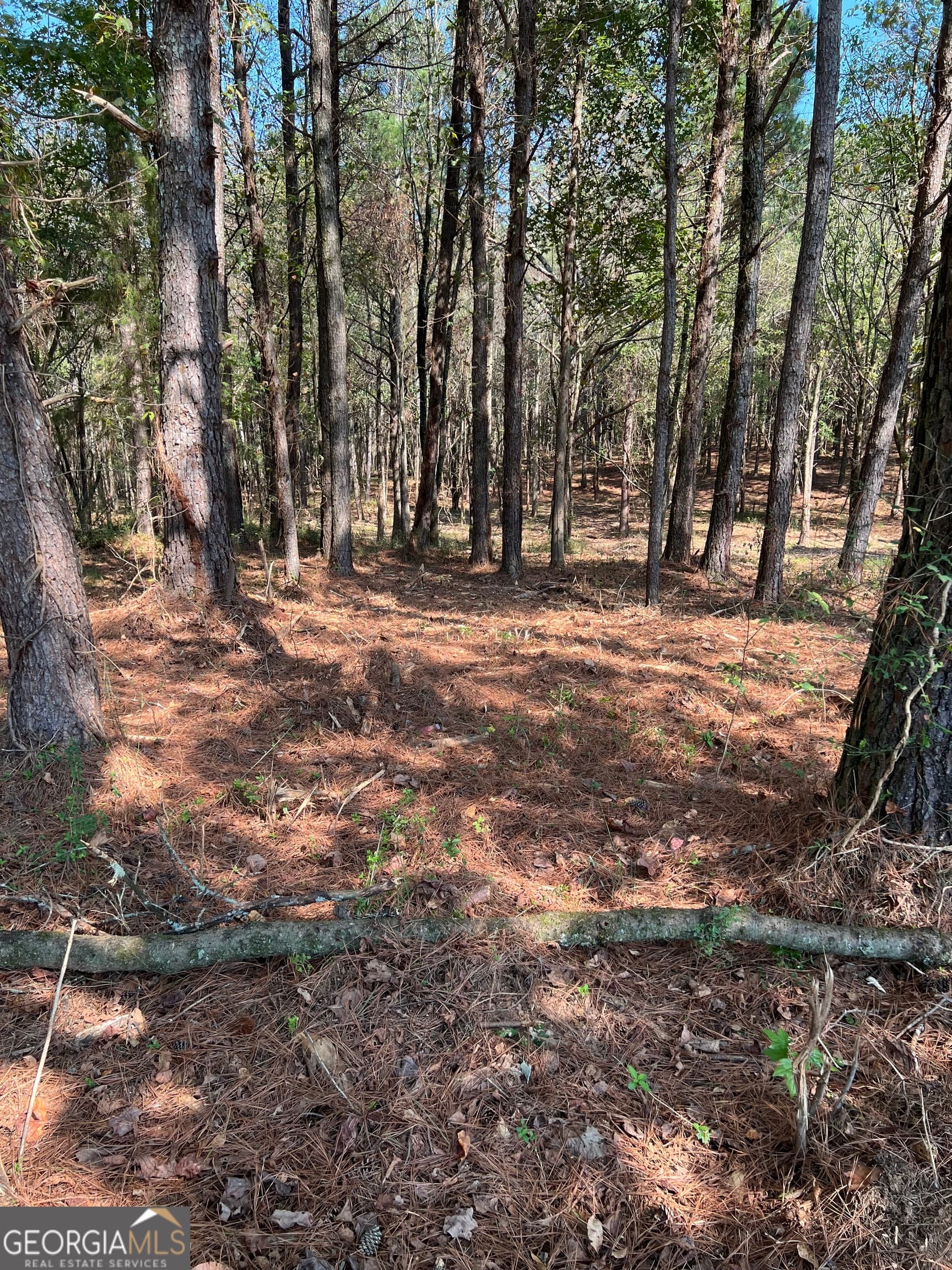 agriculture for sale at 850 Browning Road, Jasper, GA 30143 — photo 9