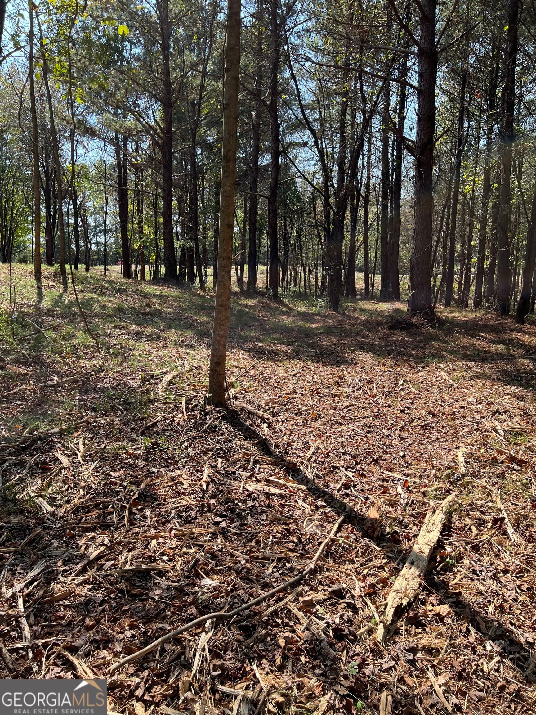 agriculture for sale at 850 Browning Road, Jasper, GA 30143 — photo 8