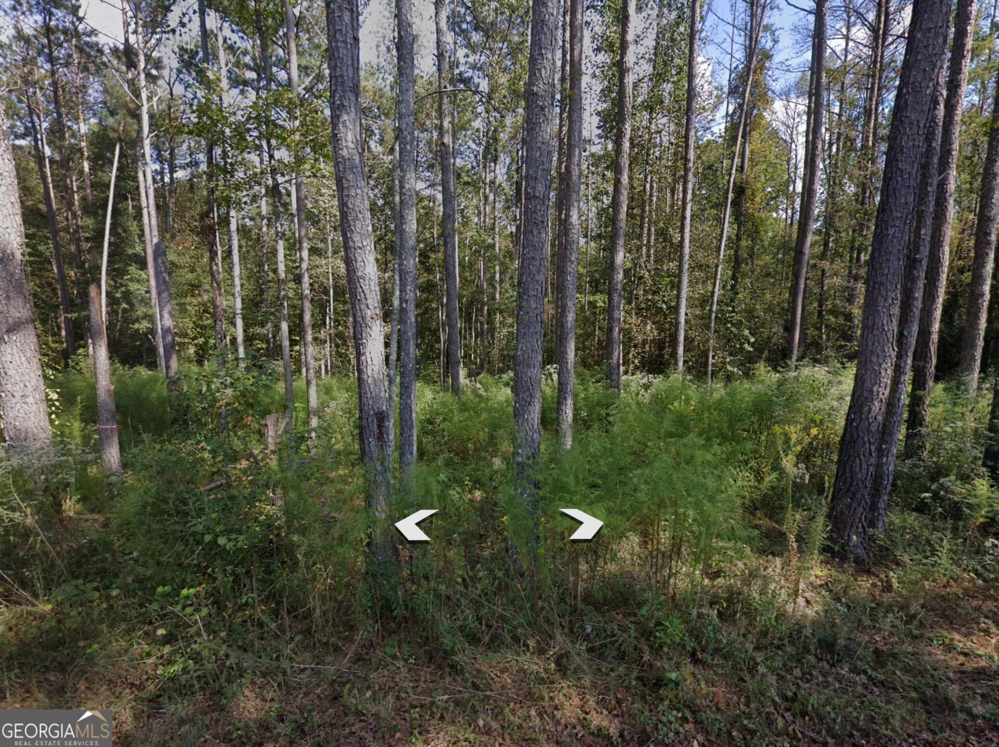 residential lot for sale at 0 Holly Road TRACT 3, Bowdon, GA 30108 — photo 2
