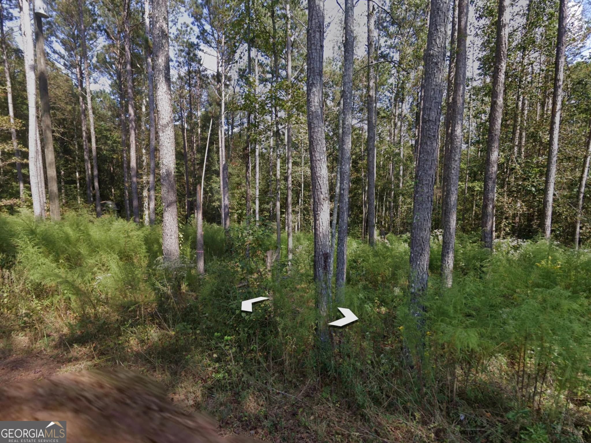 residential lot for sale at 0 Holly Road TRACT 3, Bowdon, GA 30108 — photo 3