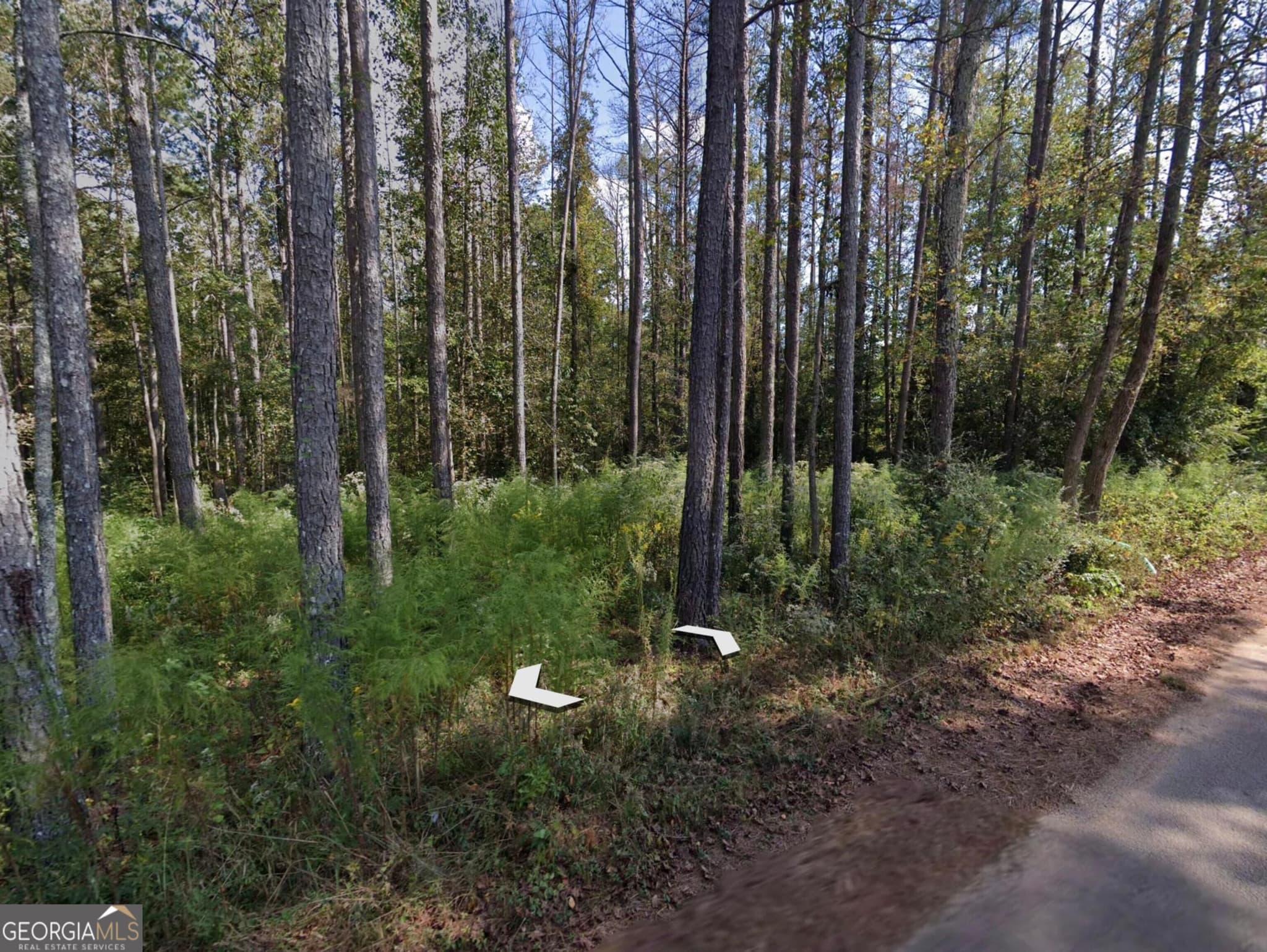 residential lot for sale at 0 Holly Road TRACT 3, Bowdon, GA 30108 — photo 1 of 4