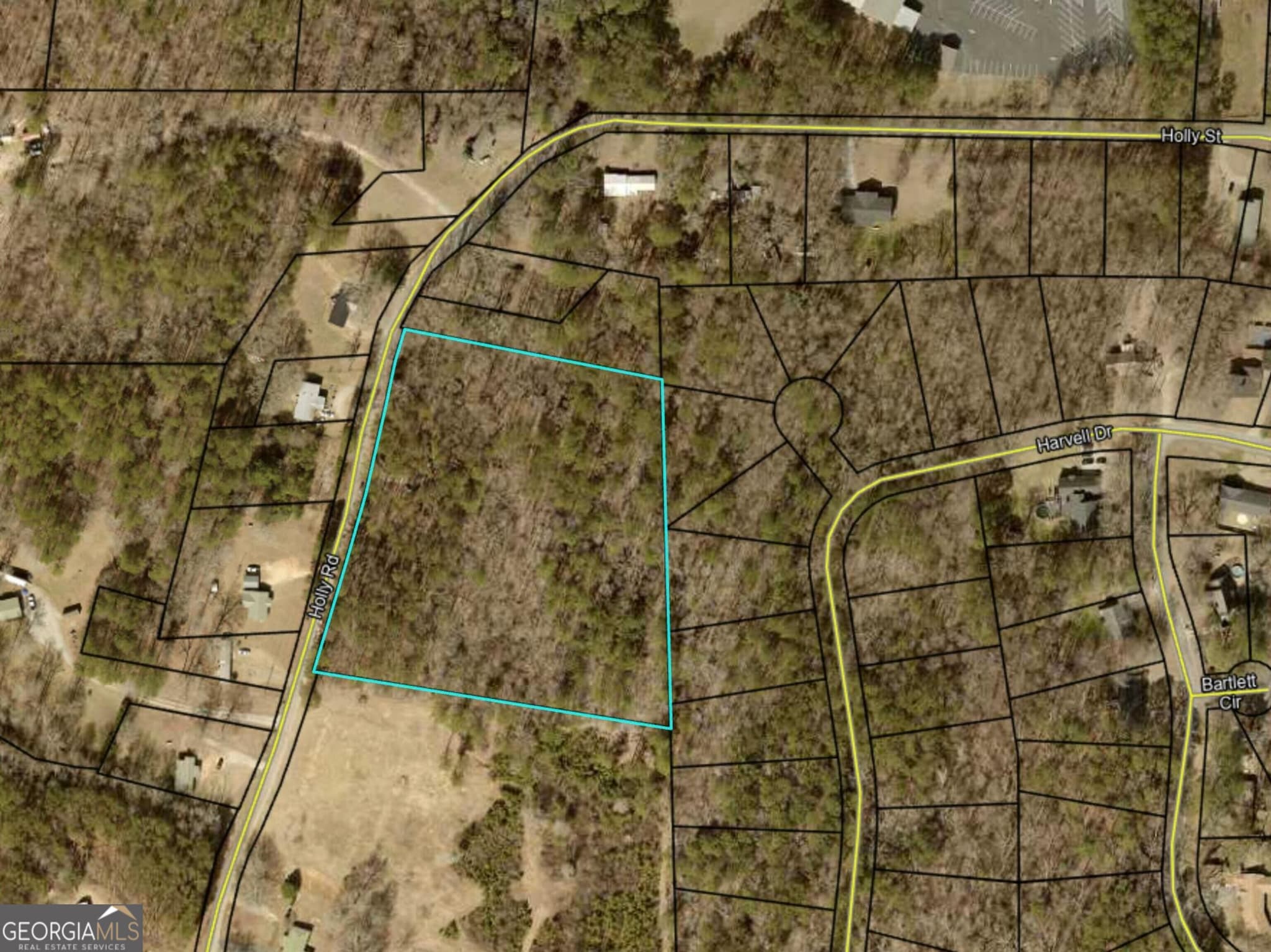 residential lot for sale at 0 Holly Road TRACT 3, Bowdon, GA 30108 — photo 4
