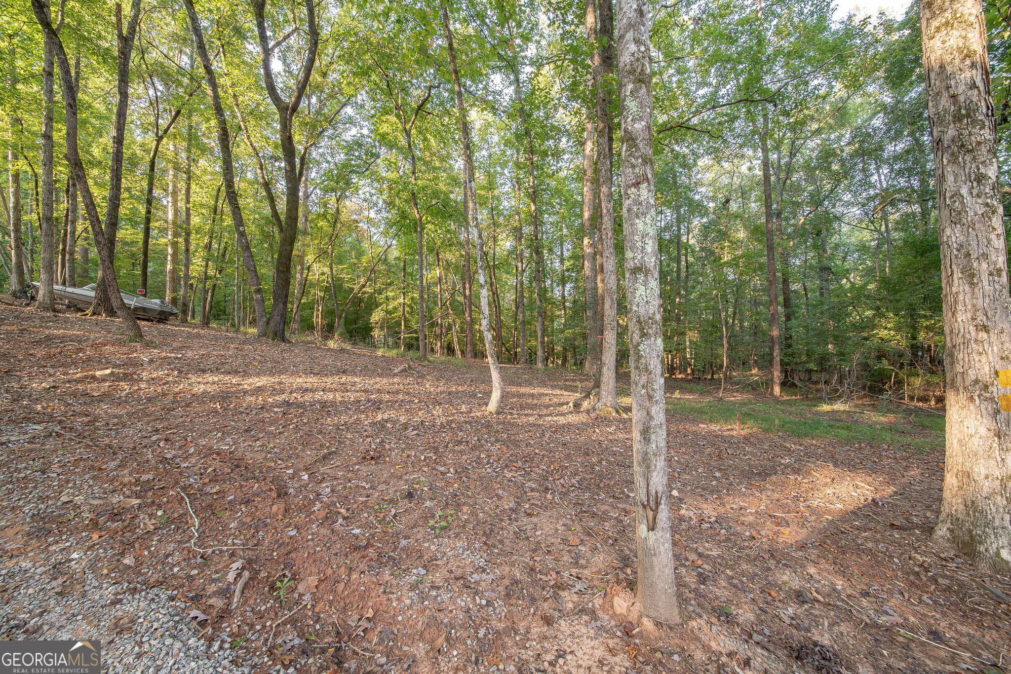2 bedroom, 1 bathroom, 978 sq ft single family residence for sale at 265 Dollar Road, Hamilton, GA 31811 — photo 3
