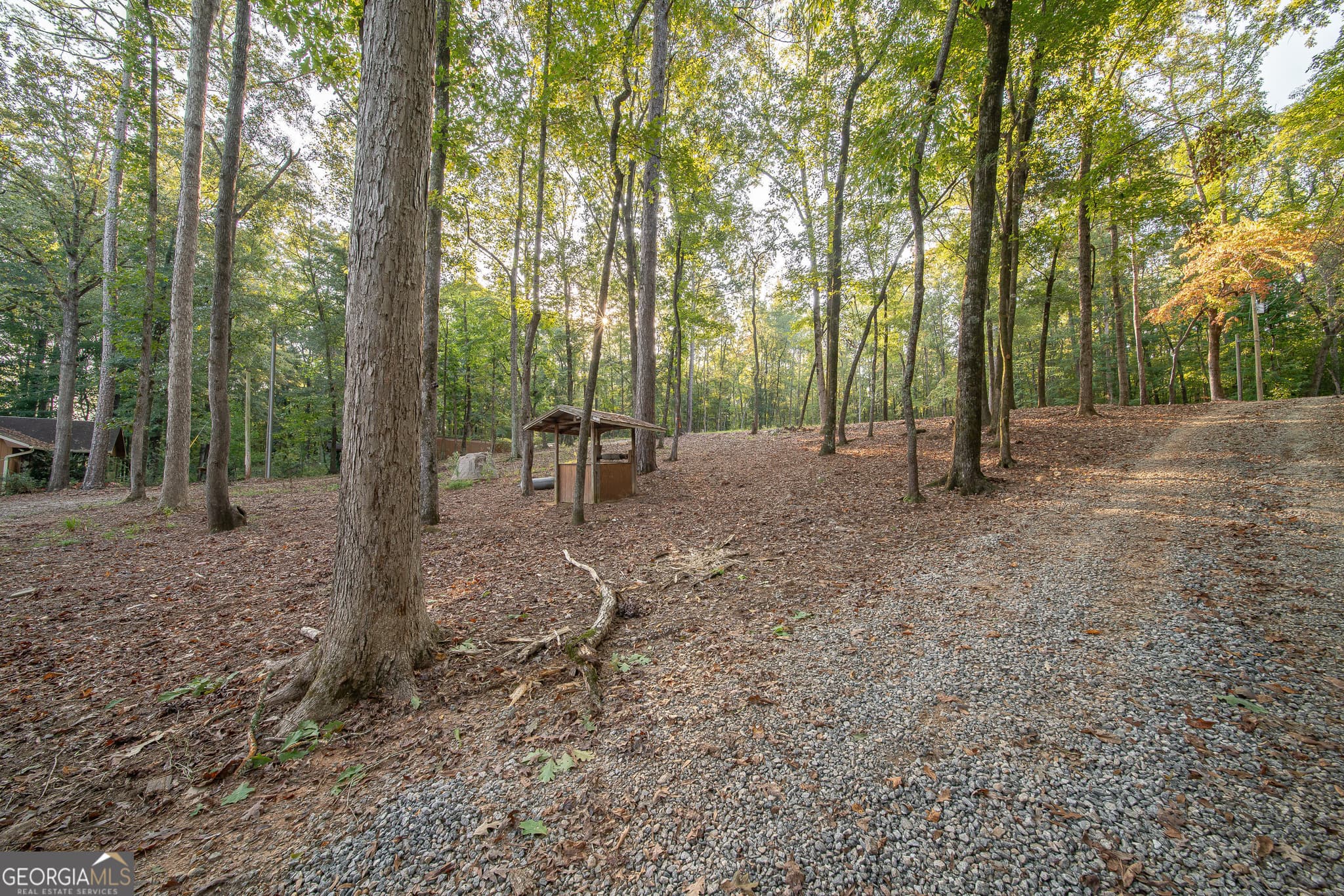 2 bedroom, 1 bathroom, 978 sq ft single family residence for sale at 265 Dollar Road, Hamilton, GA 31811 — photo 4